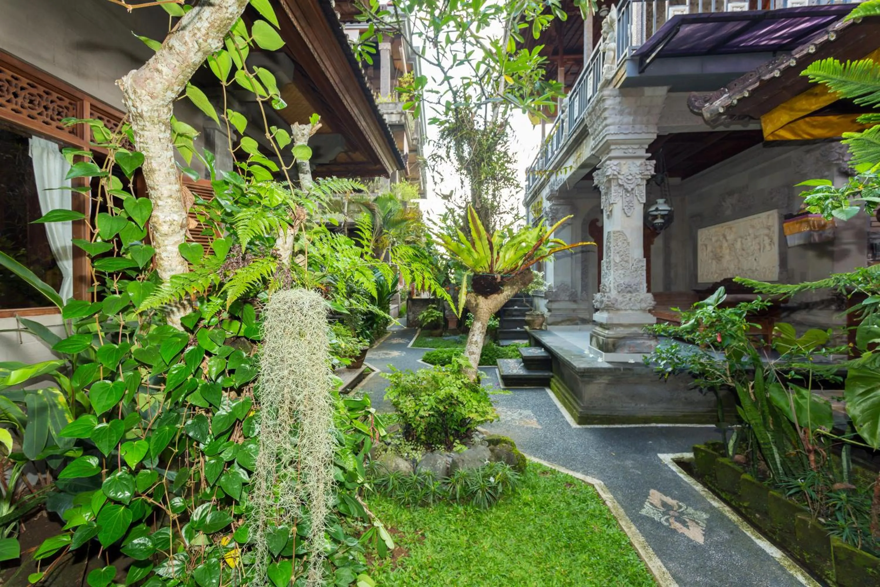 Day in Bali Moon Guest House