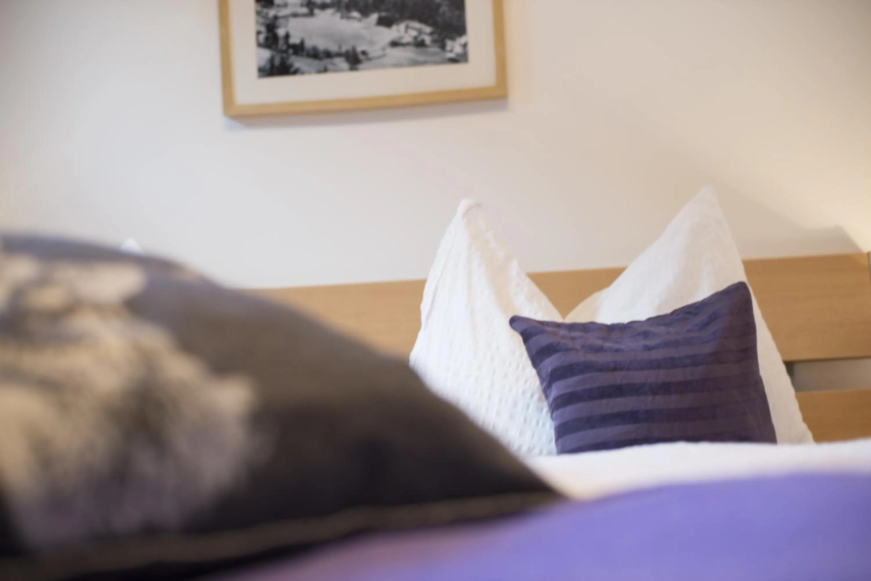 Decorative detail, Bed in Apartment Gschwandtner Haus Stoareich