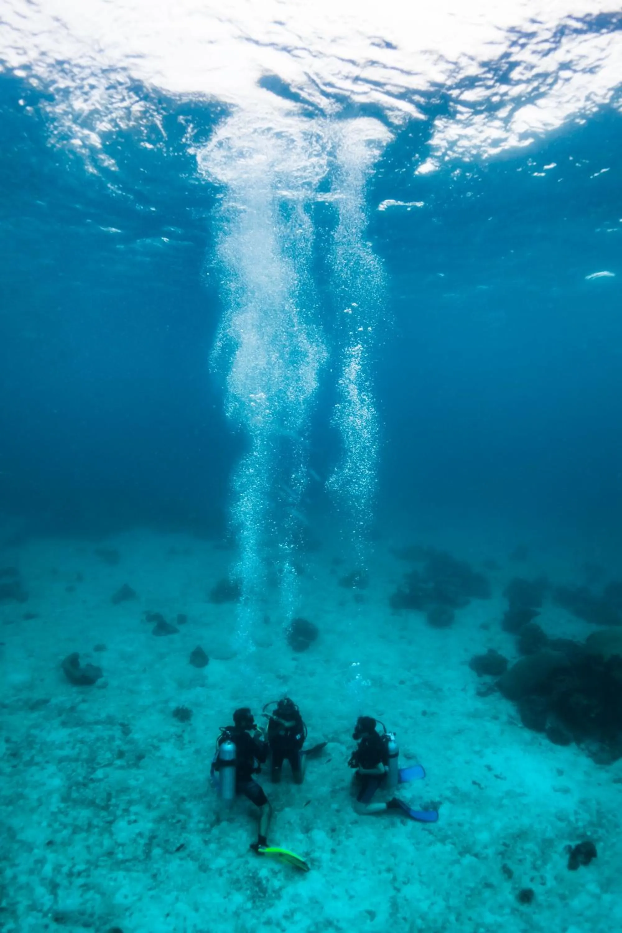 Diving in Forra Dive Resort Pattaya Beach