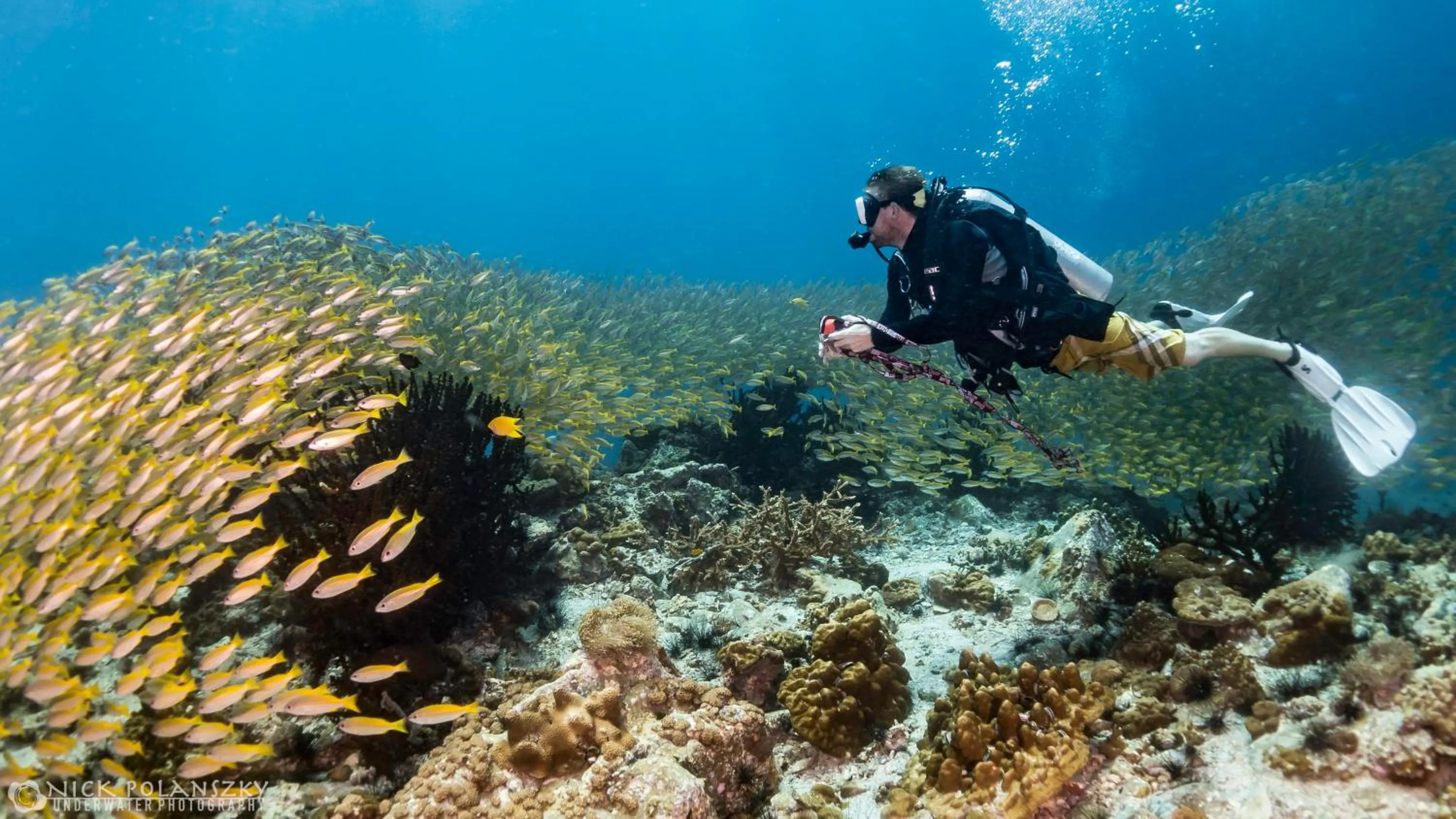 Diving in Forra Dive Resort Pattaya Beach