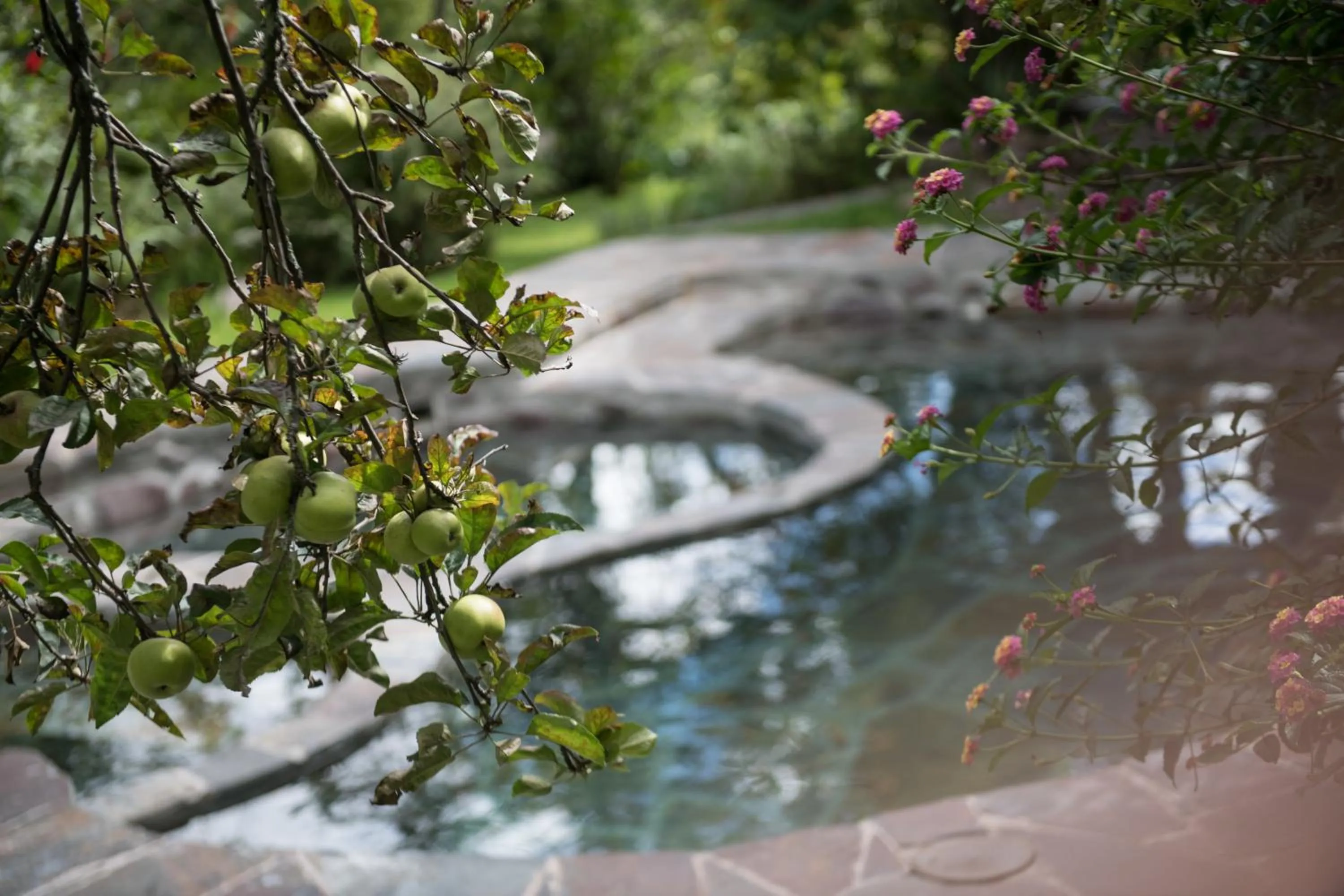 Swimming pool in Andenia Boutique Hotel, Sacred Valley