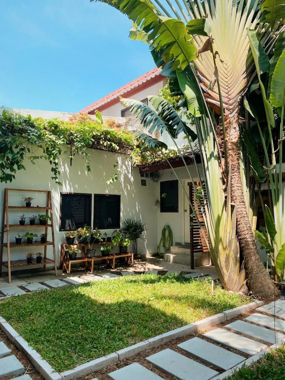 Garden in The Reef Hotel & Studios