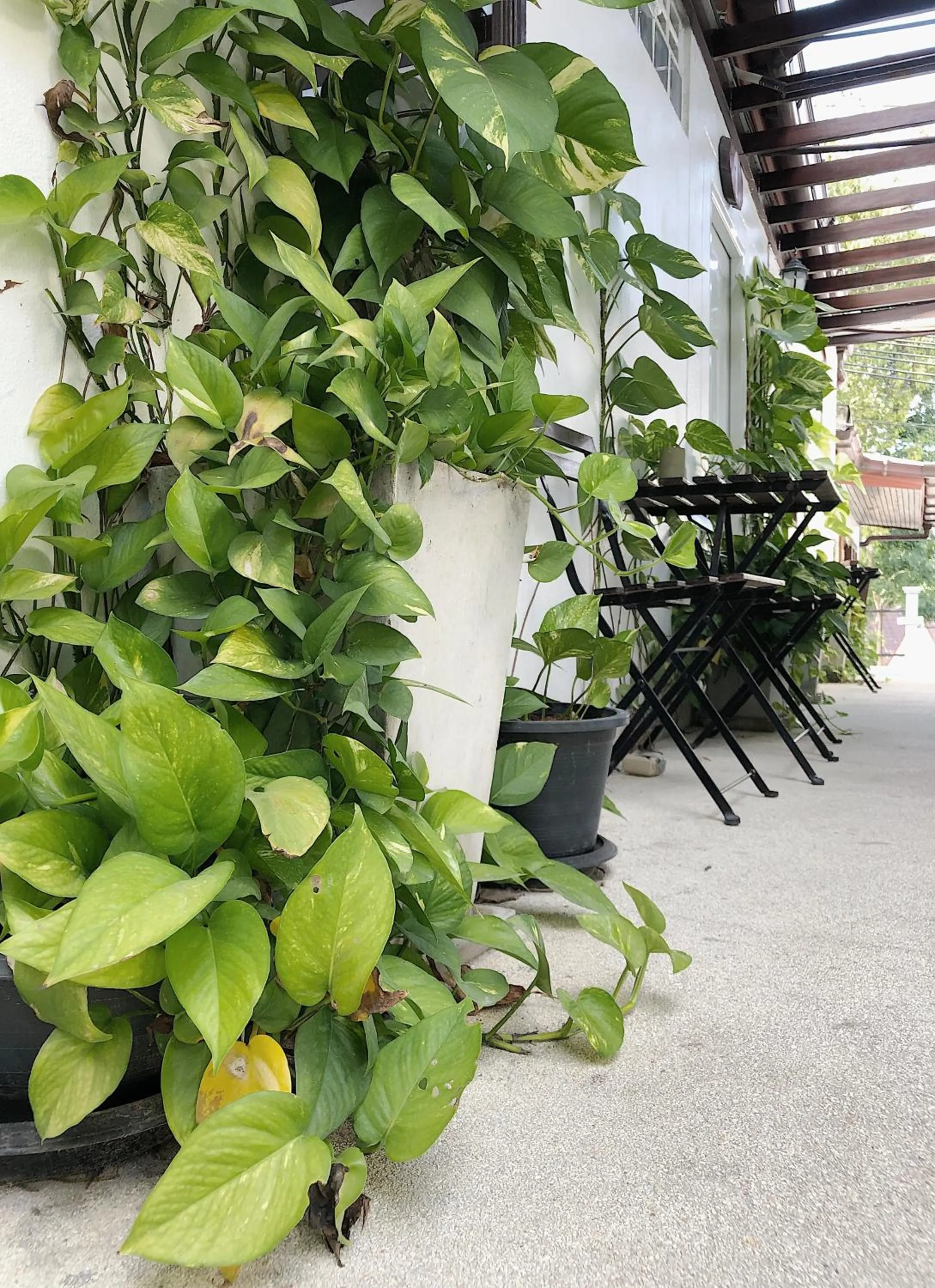 Other in The Reef Hotel & Studios