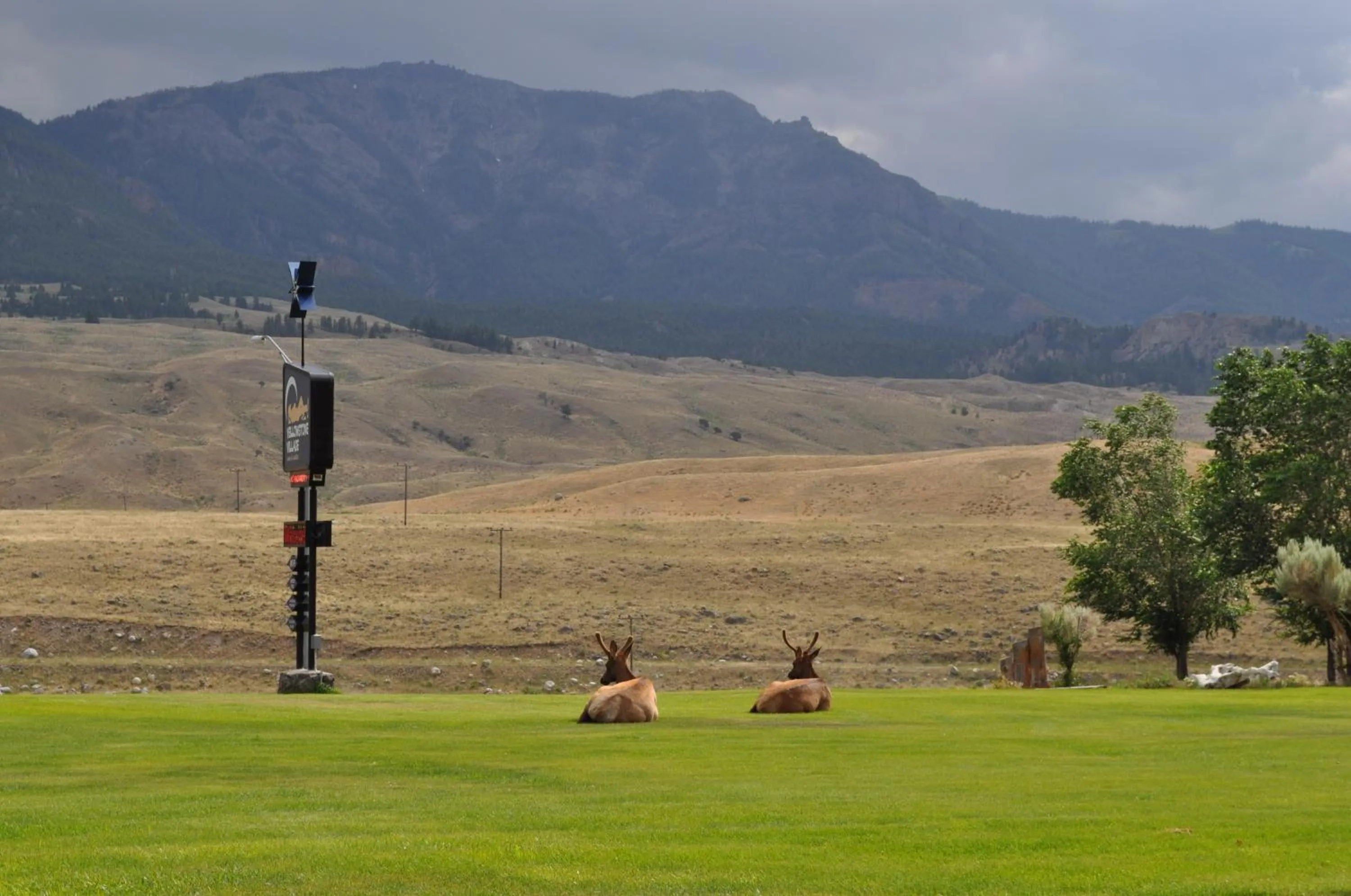 View (from property/room) in Yellowstone Village Inn and Suites
