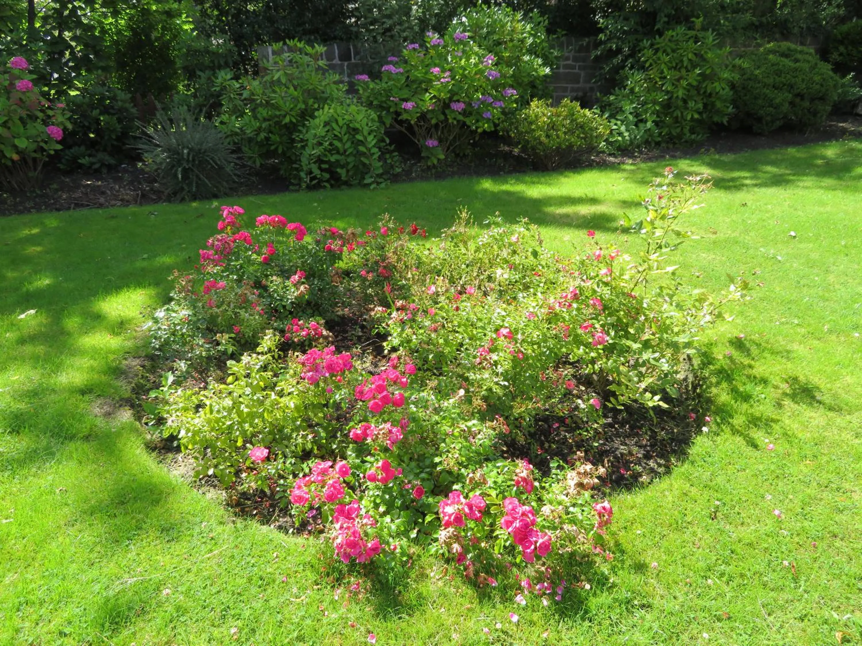 Duthus Lodge Guest House