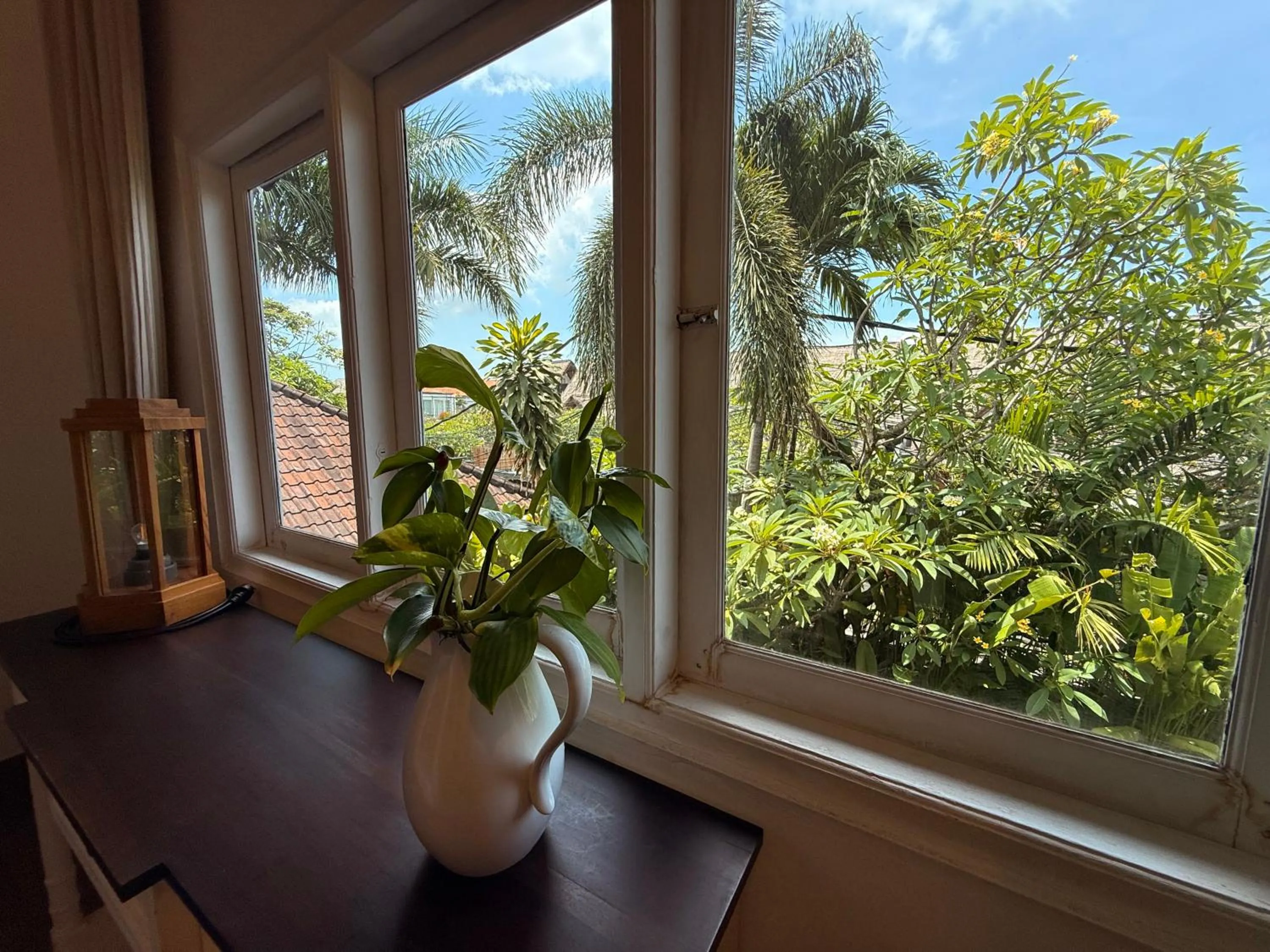 Day in Smiling Cactus Villas