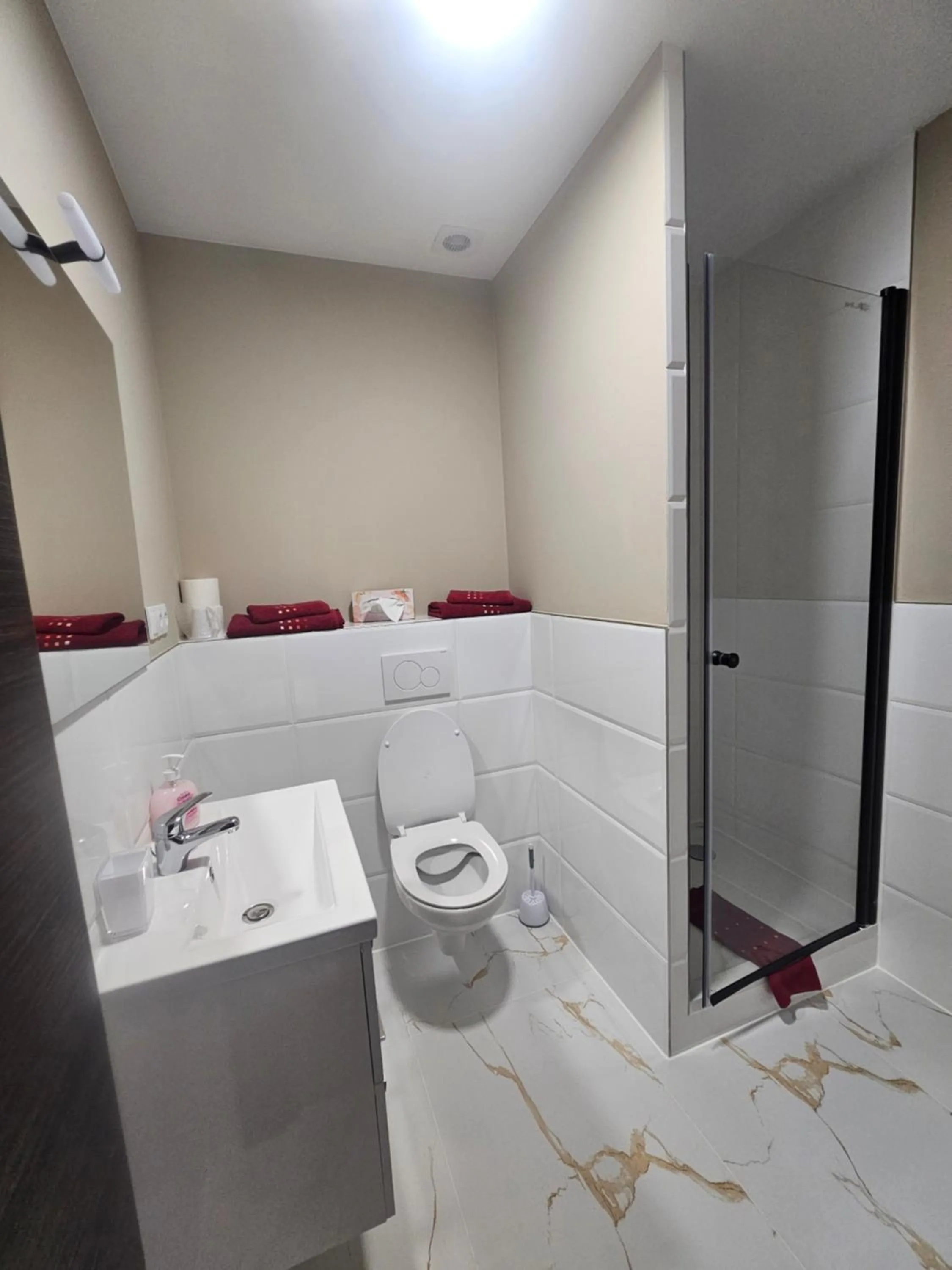 Shower in Hotel City Faber