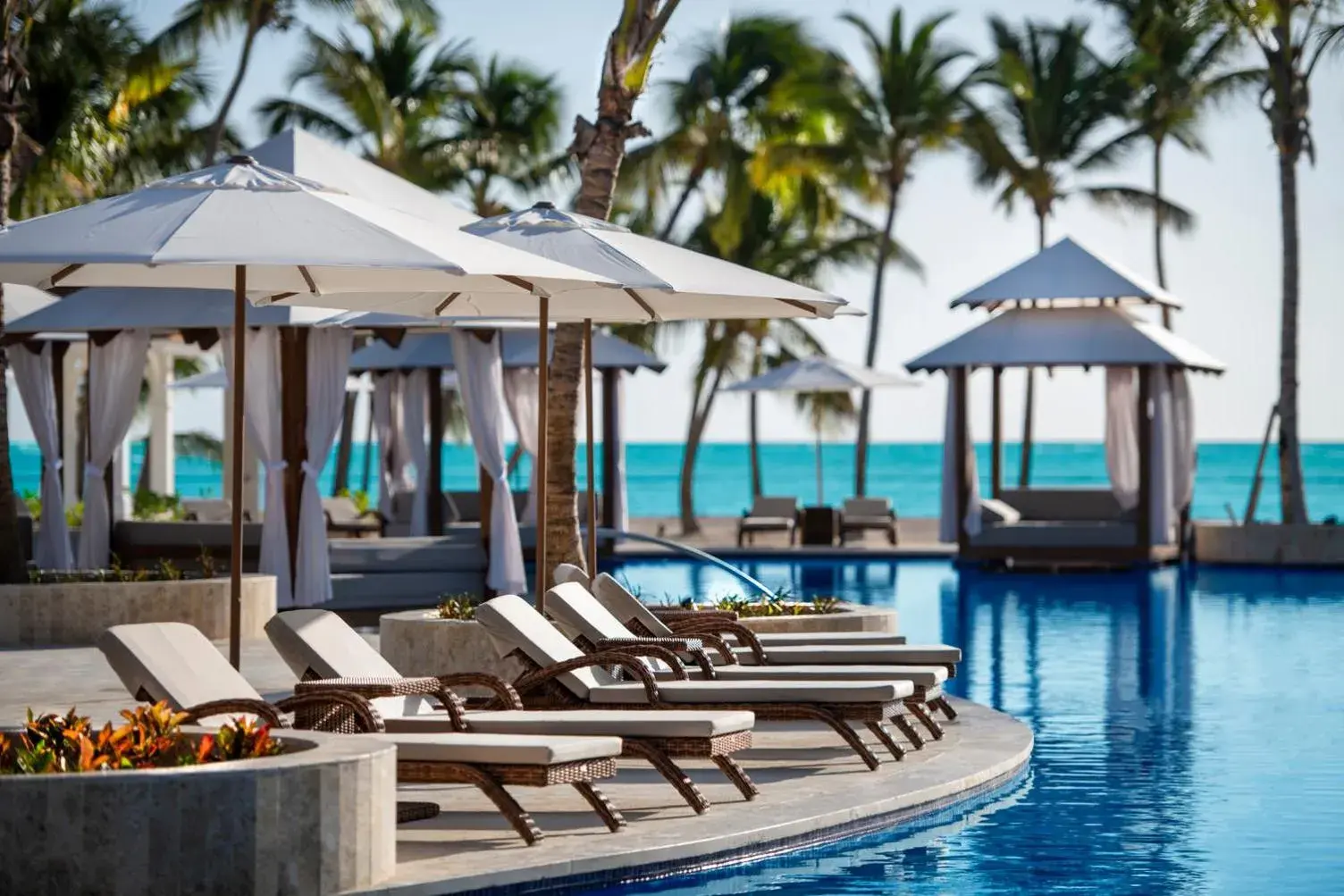 Swimming pool in Hyatt Zilara Cap Cana - Adults Only Swimming pool in Hyatt Zilara Cap Cana - Adults Only