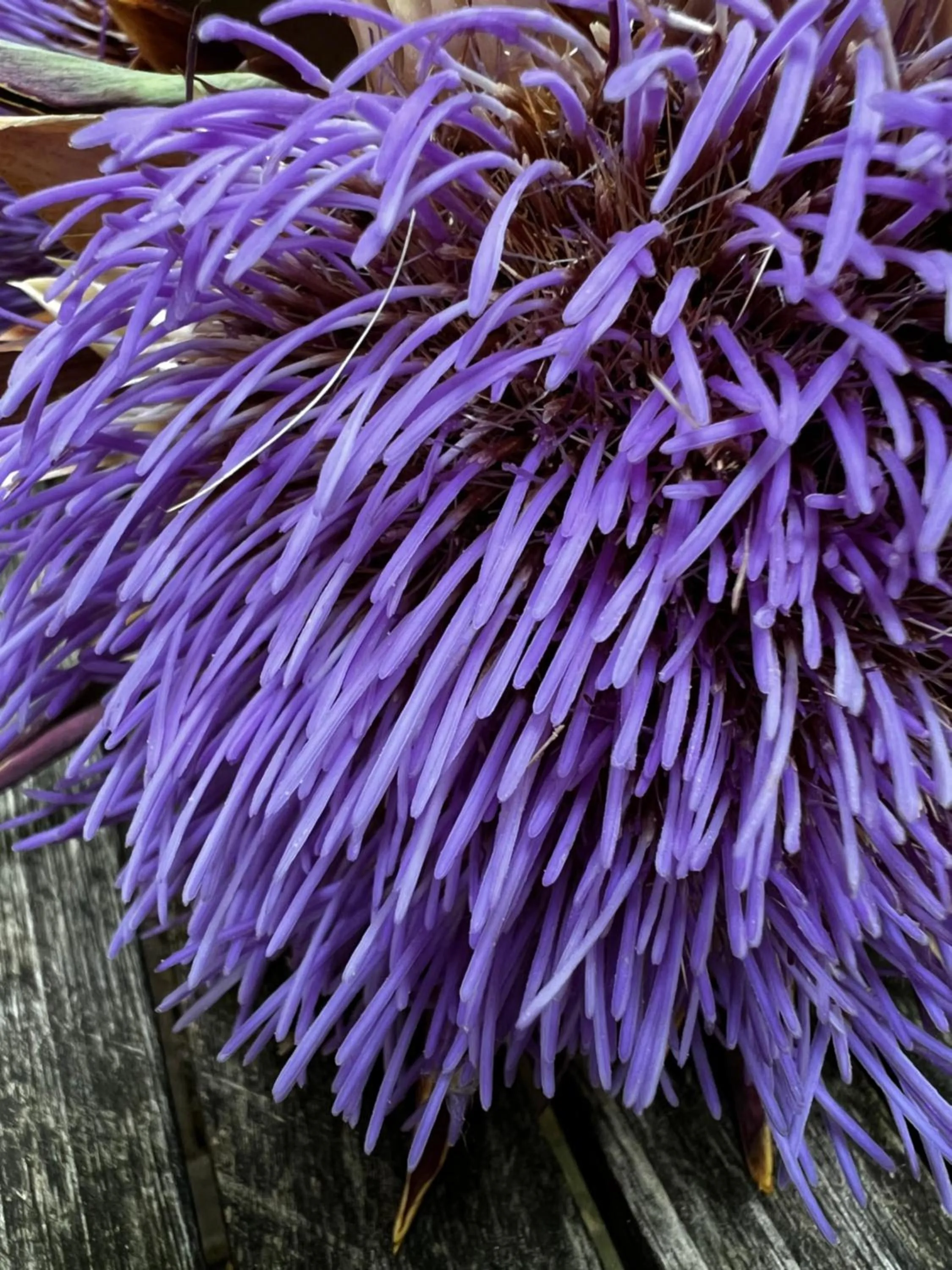 Restaurant/places to eat in Hotel Donegal