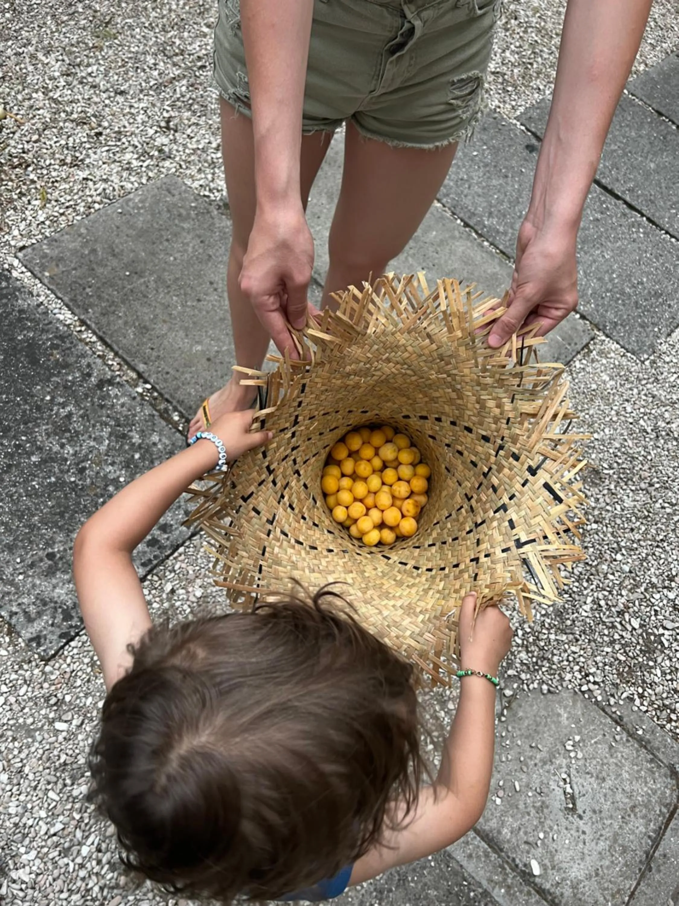 View (from property/room) in Hotel Donegal