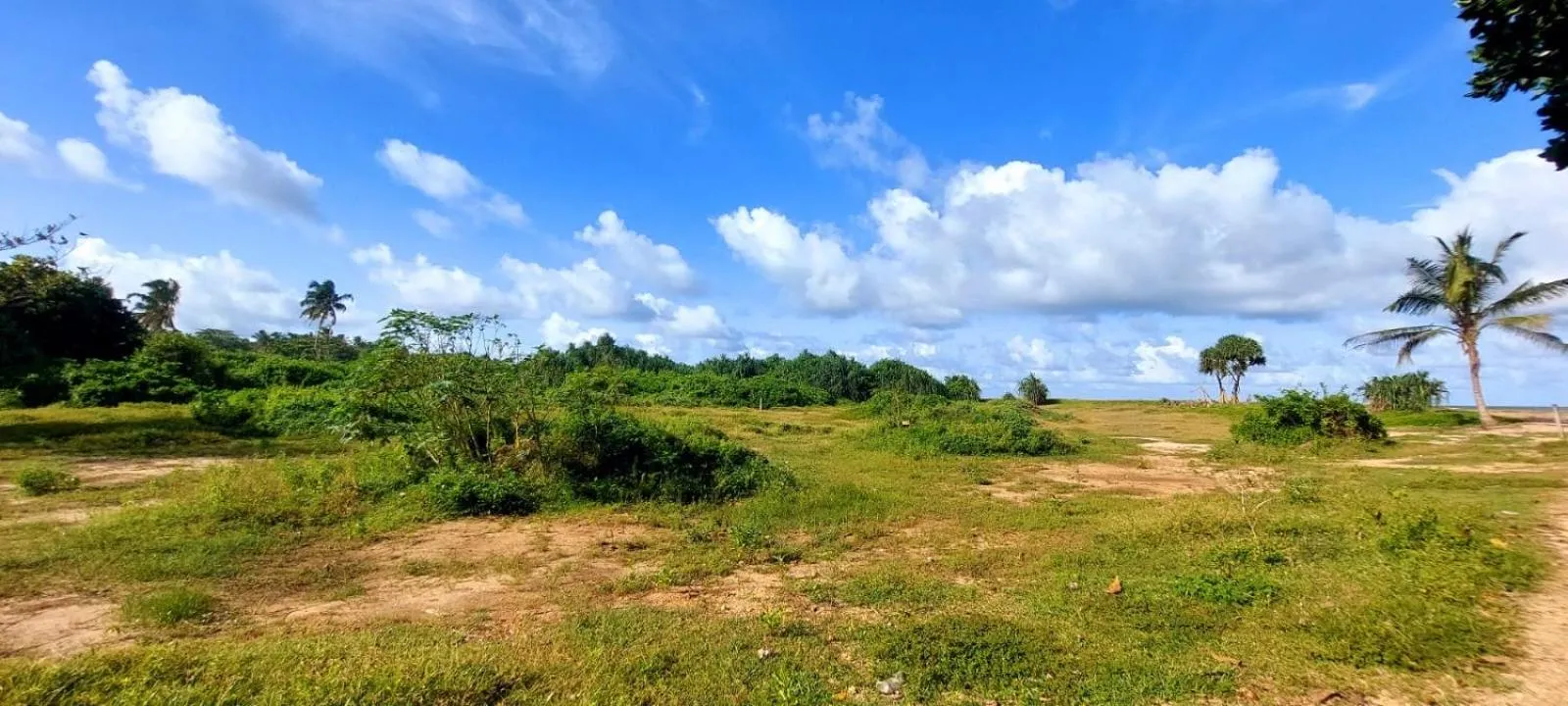 Turtle Paradise Villa