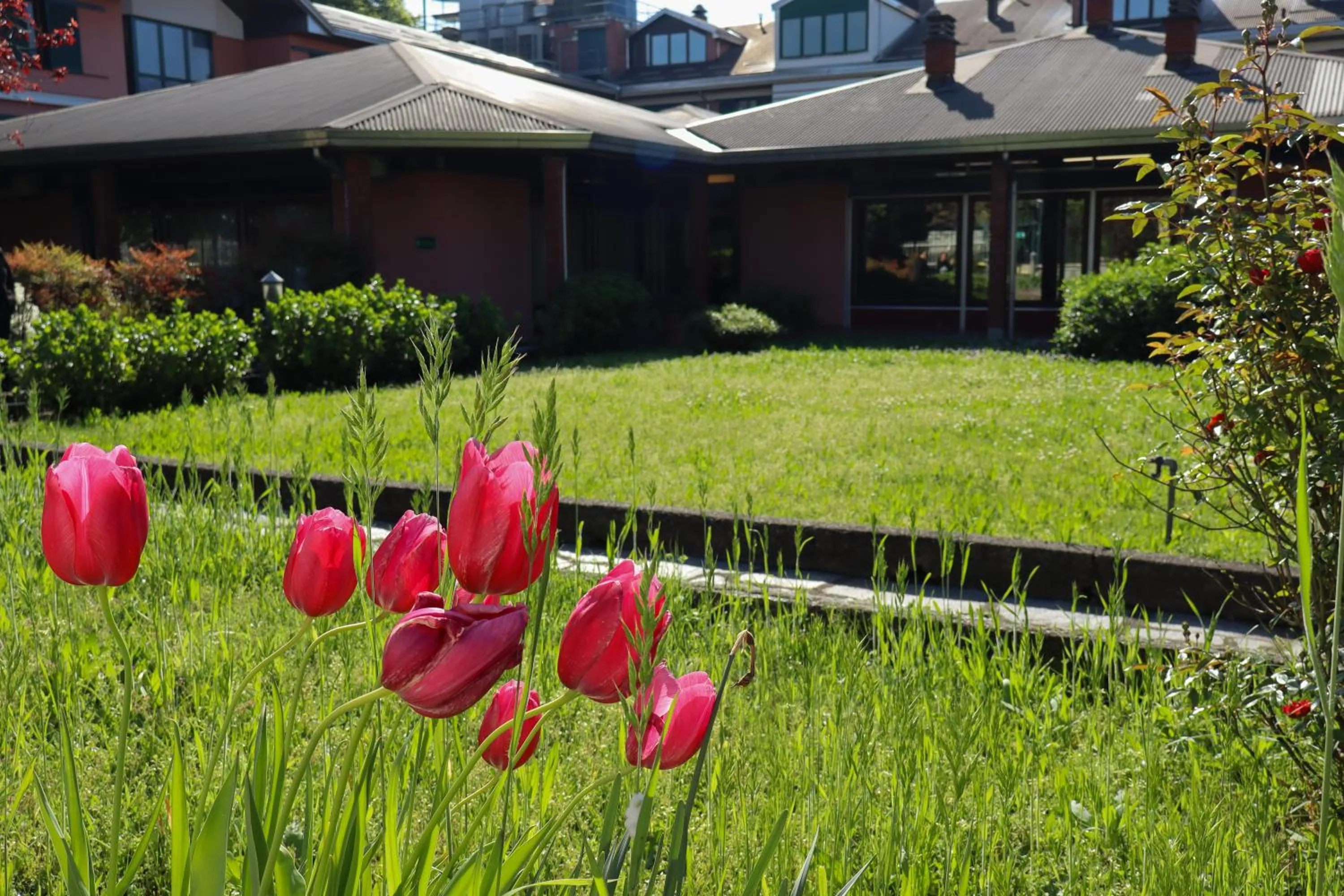 Garden in Monica Hotel Fiera
