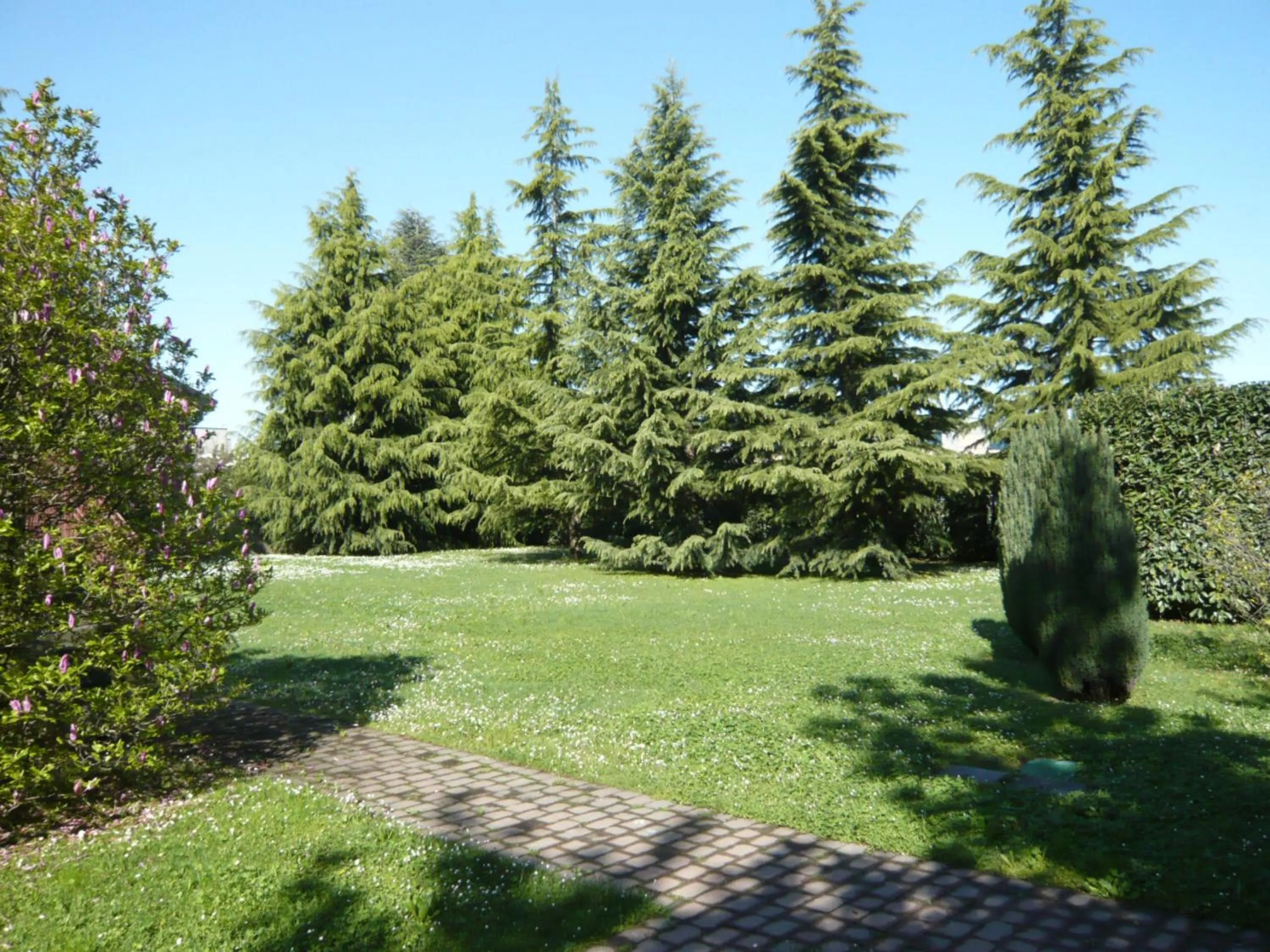 Garden in Monica Hotel Fiera