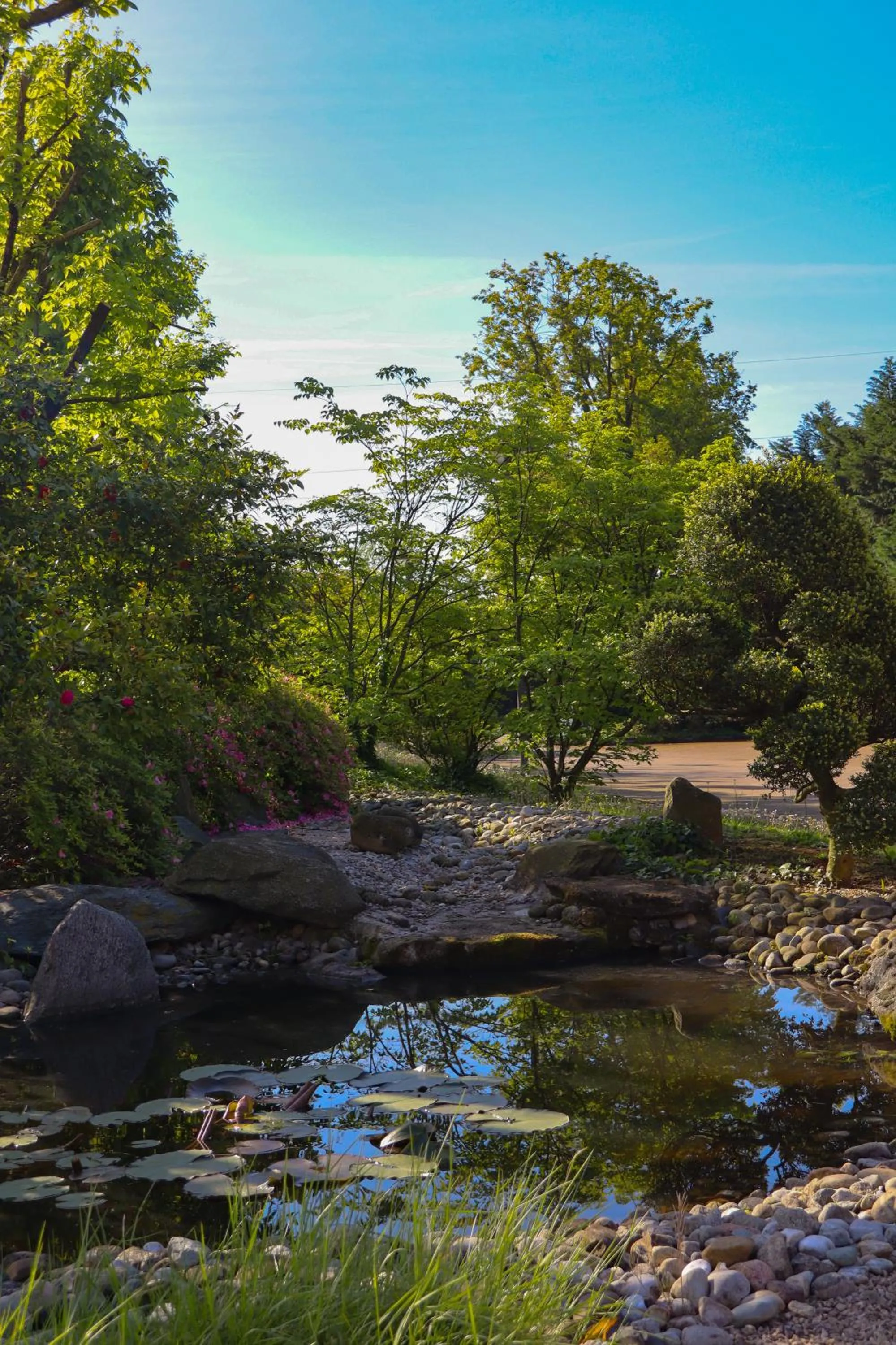 Natural landscape in Monica Hotel Fiera