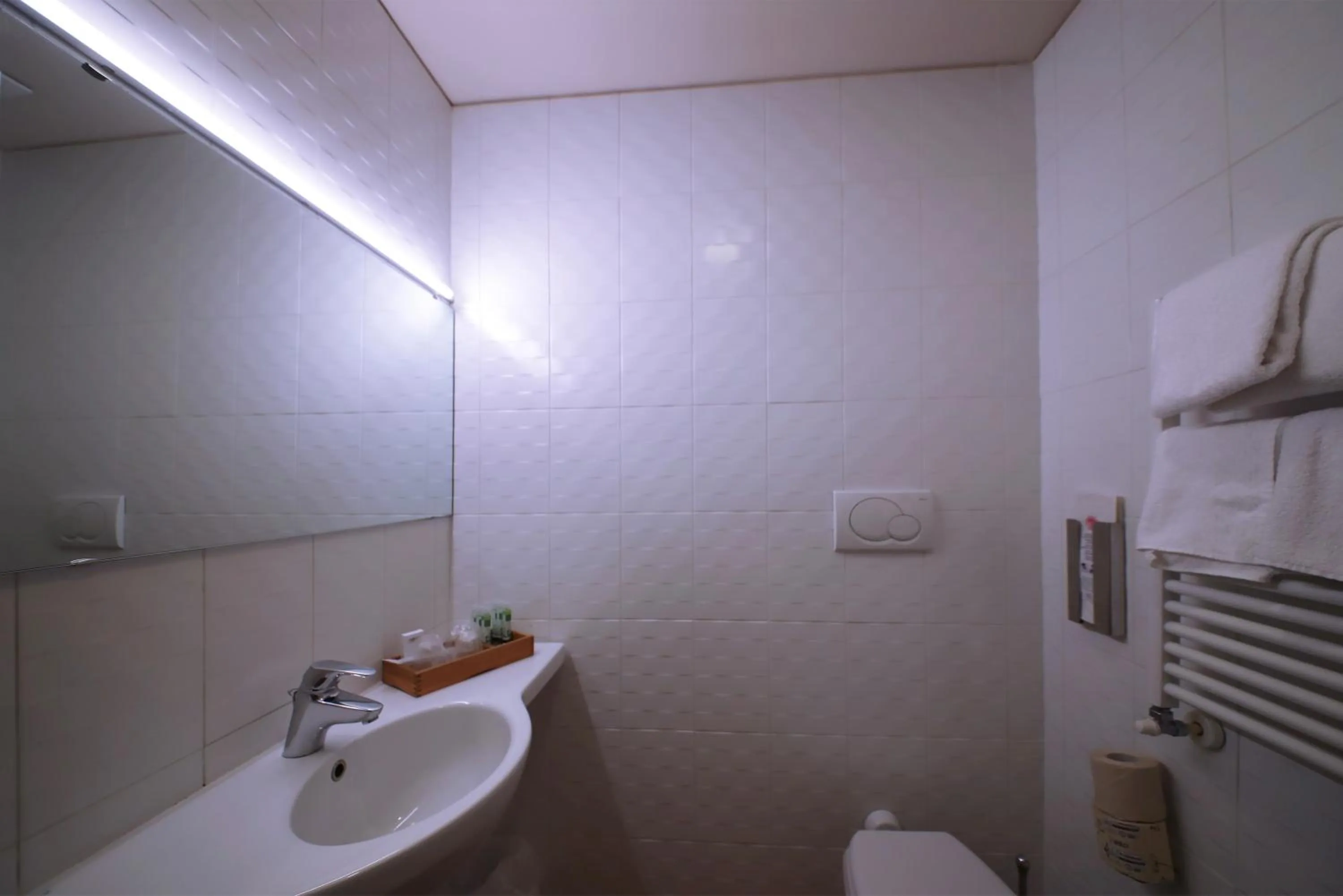 Shower in Monica Hotel Fiera