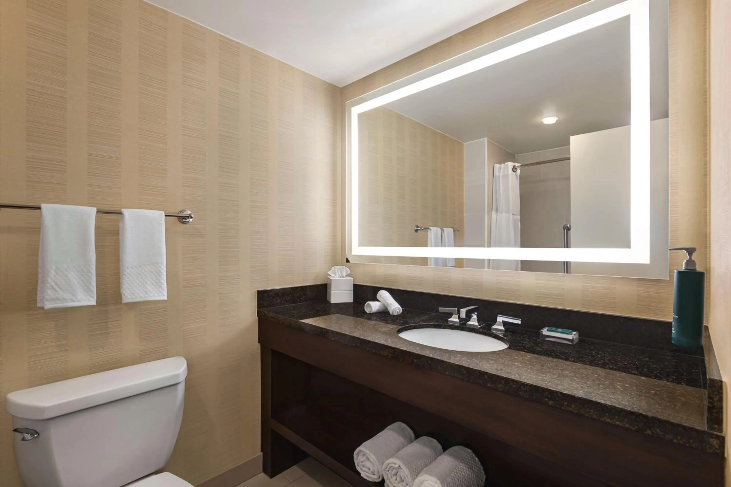 Bathroom in Hilton Tampa Downtown