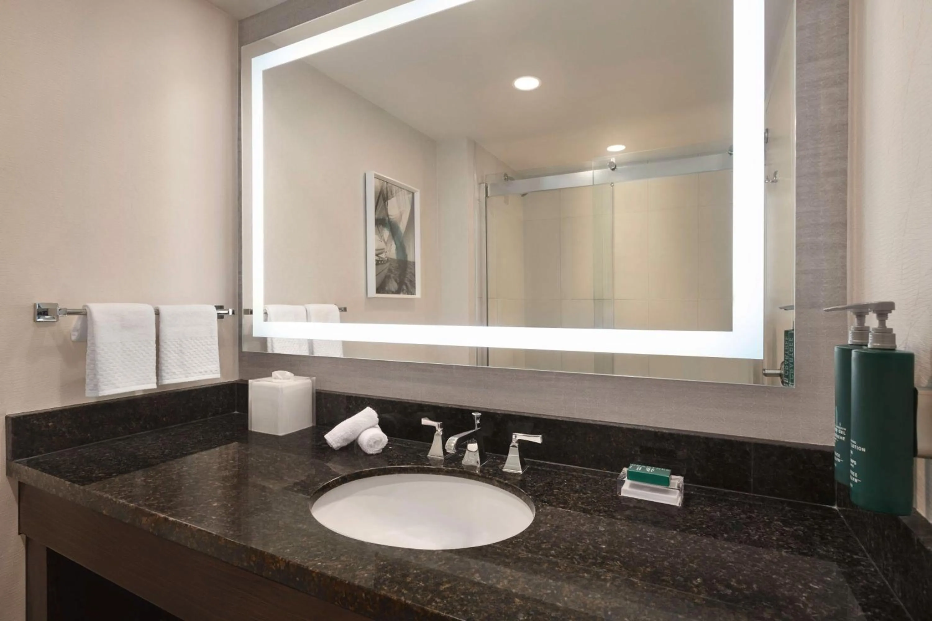 Bathroom in Hilton Tampa Downtown