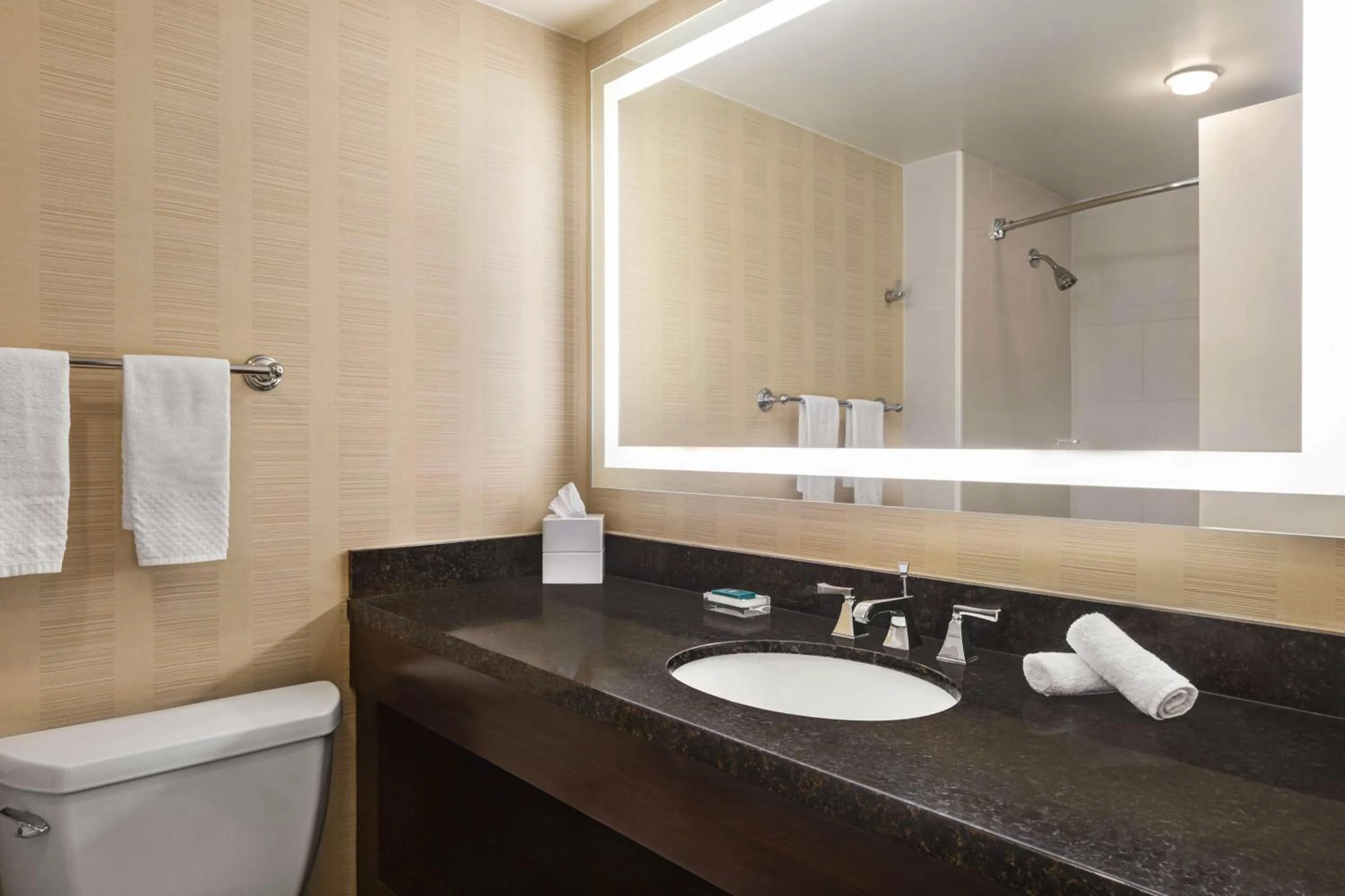 Bathroom in Hilton Tampa Downtown