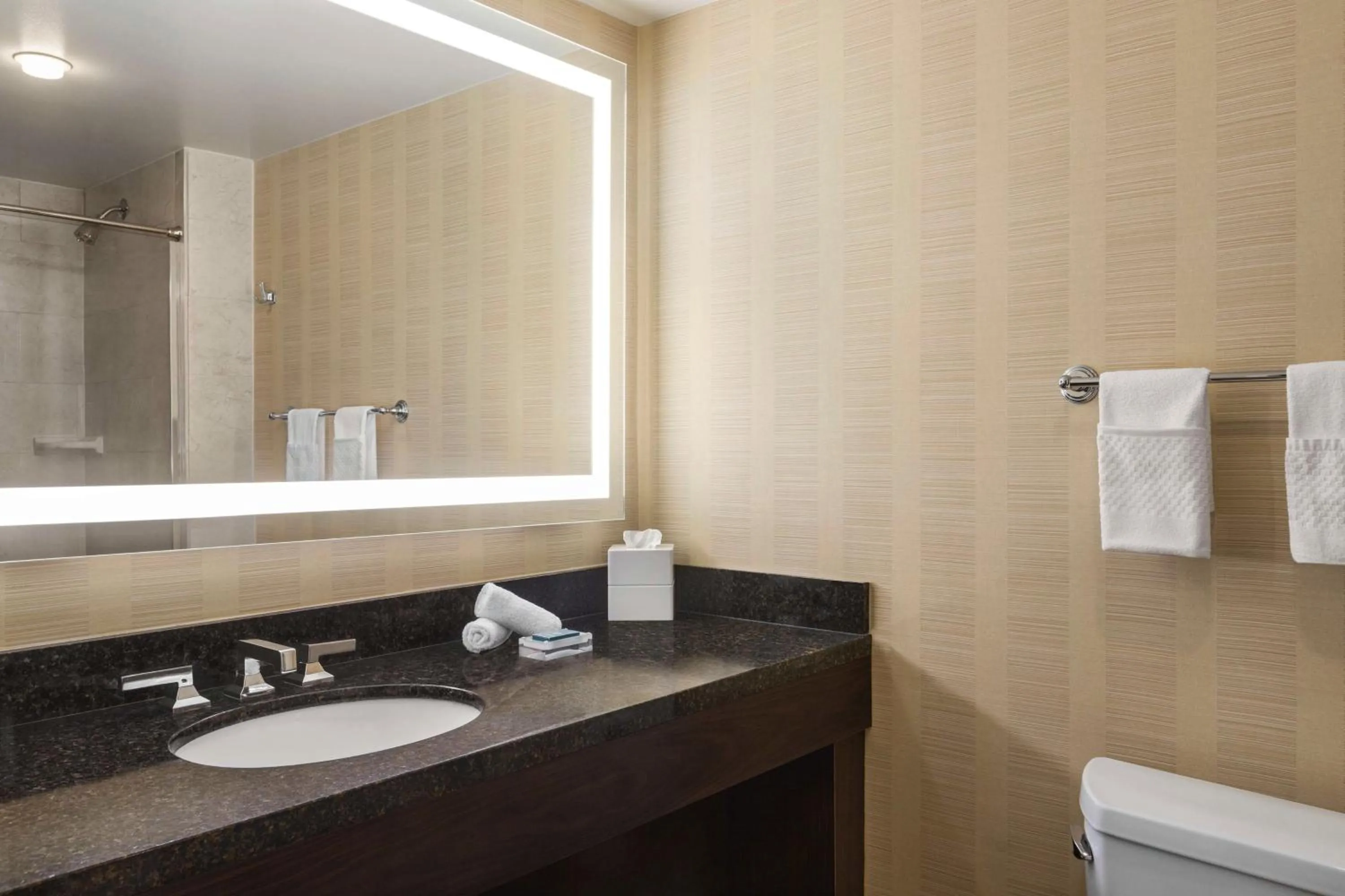 Bathroom in Hilton Tampa Downtown