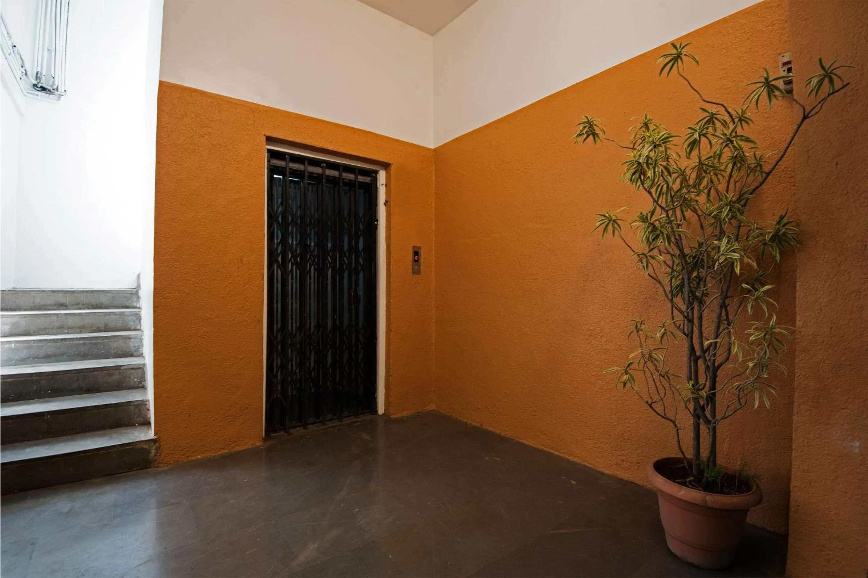 Area and facilities in HMR Hotels - Hotel HMR Royal Inn