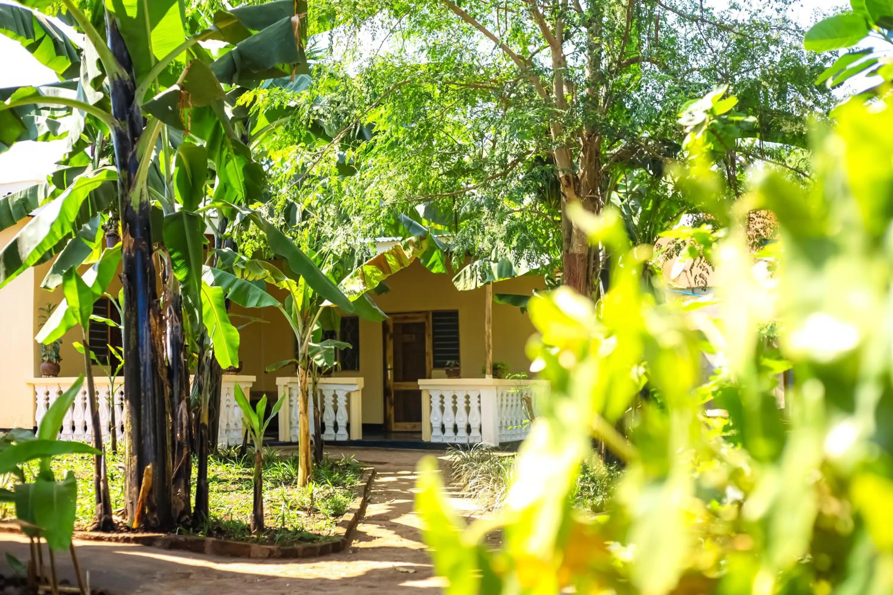 Property building in Kiwavi Home