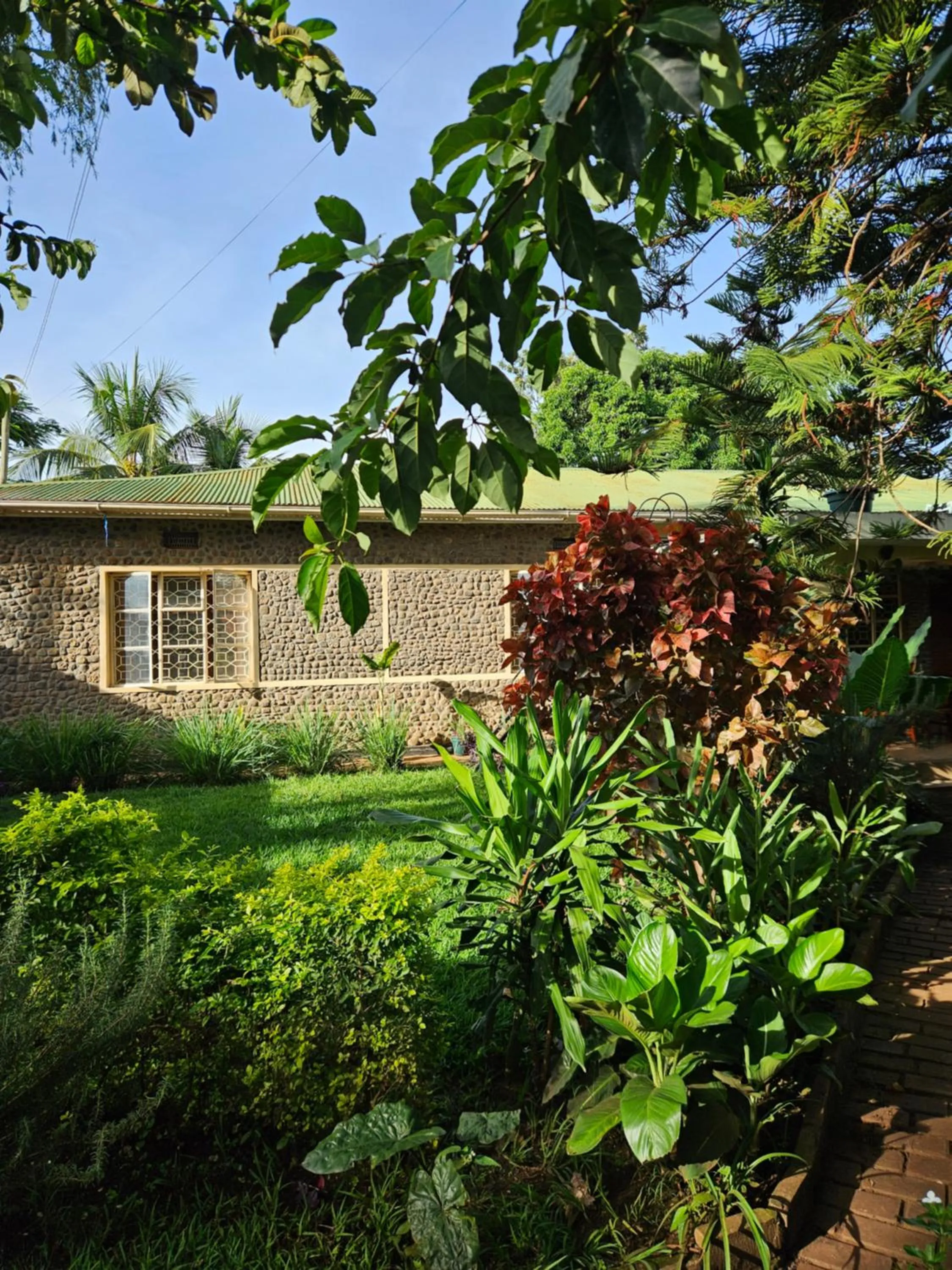 Property building in Kiwavi Home
