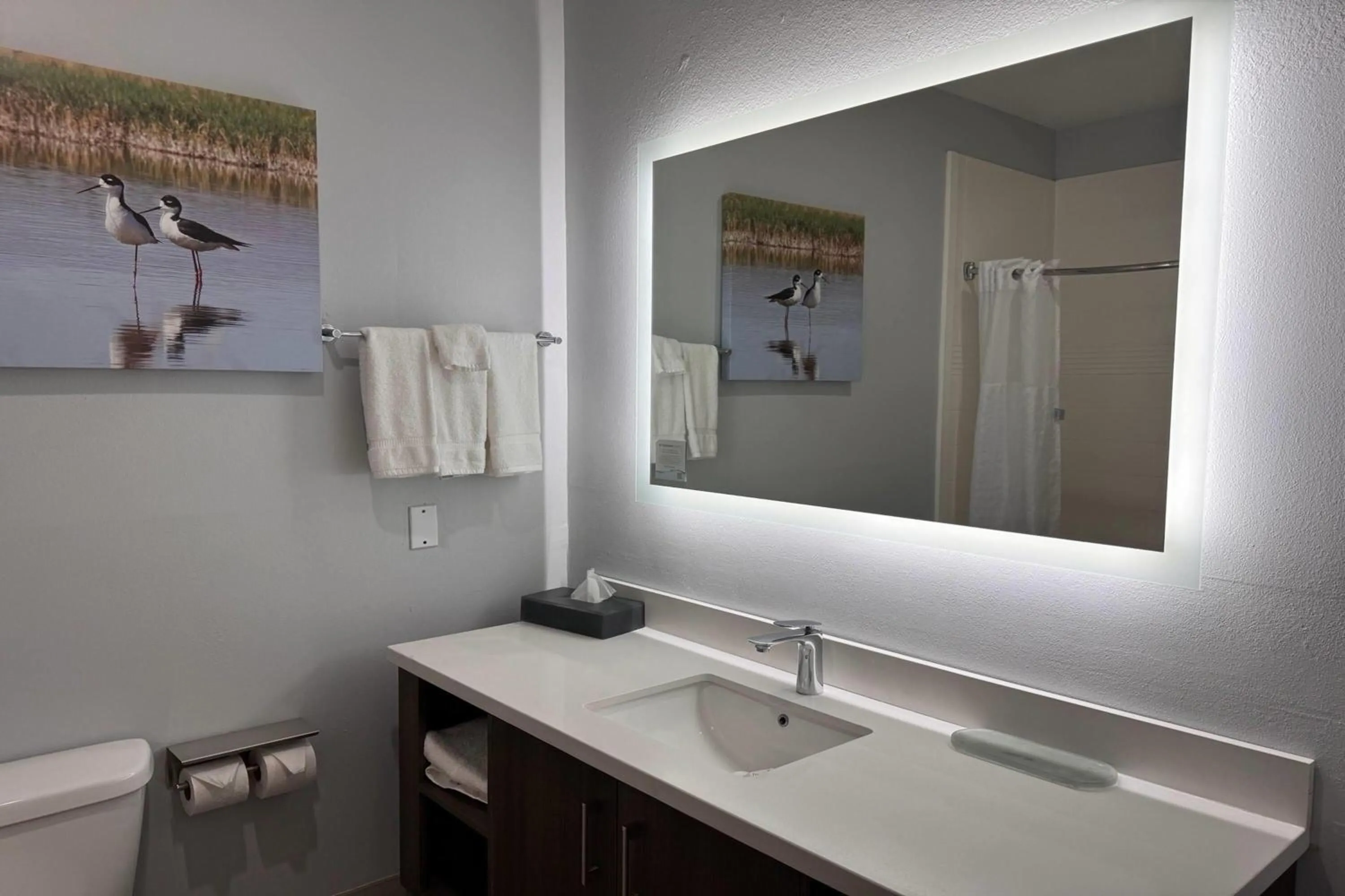 Bathroom in La Quinta by Wyndham Alamo-McAllen East