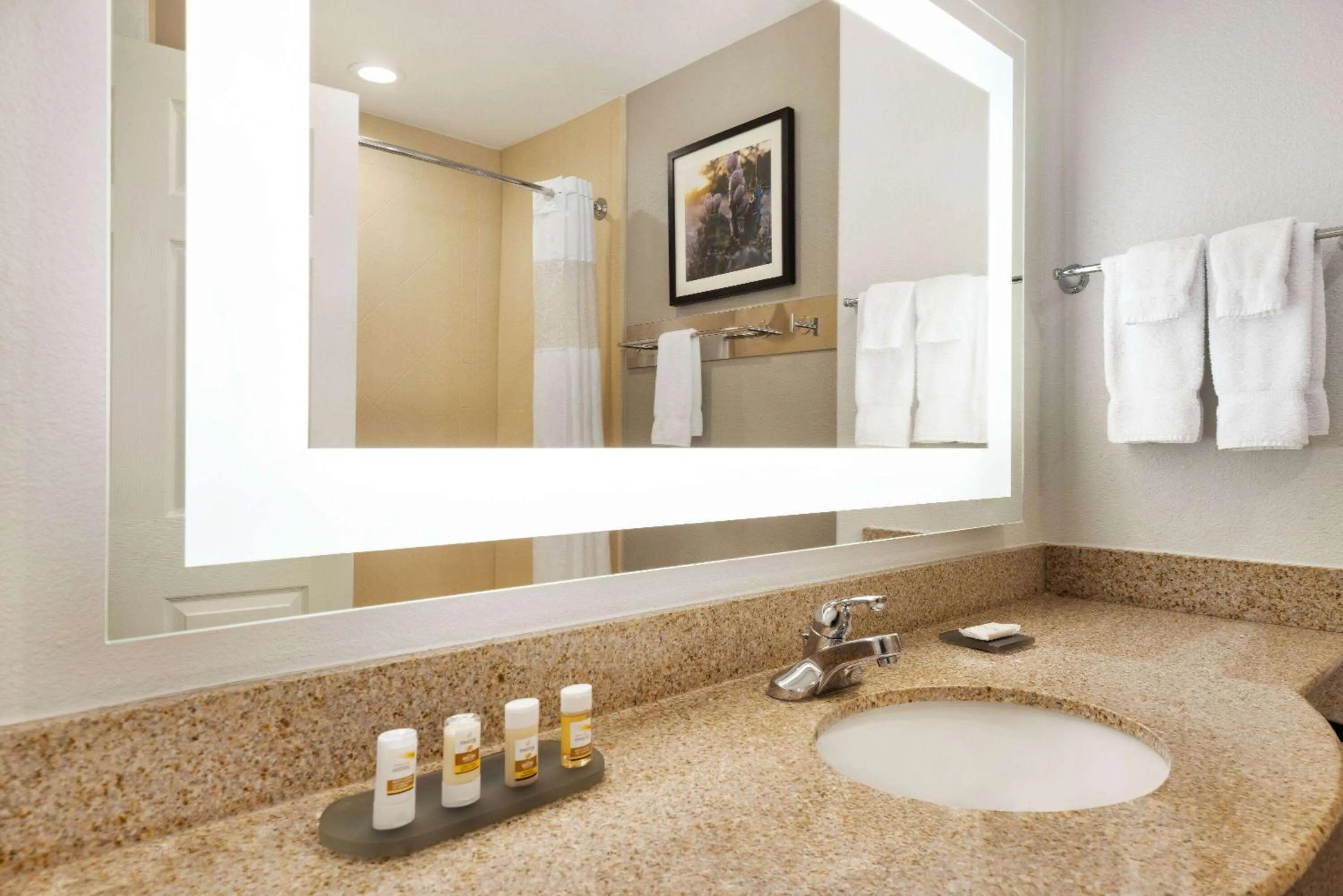 TV and multimedia in La Quinta by Wyndham Port Arthur