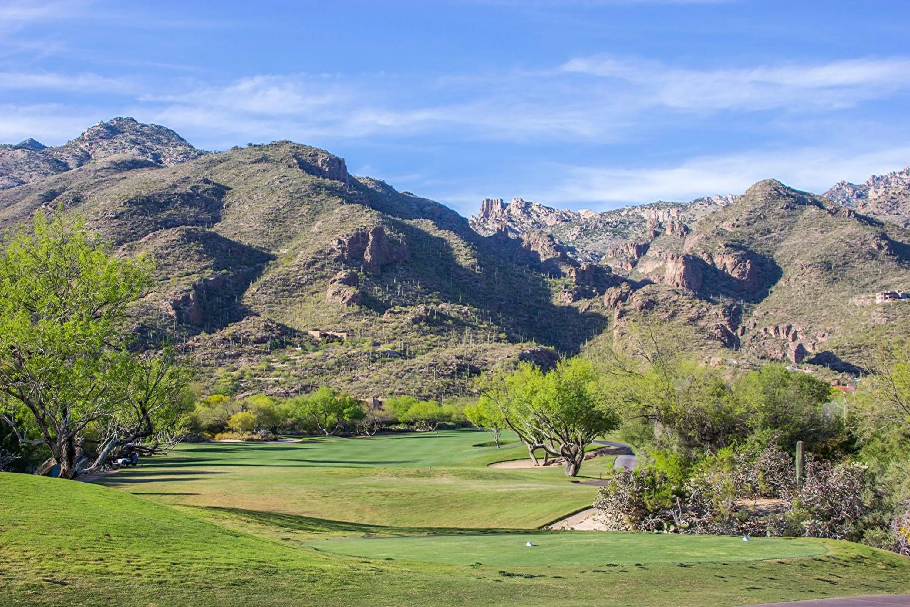 Golfcourse in Ventana Canyon Club and Lodge
