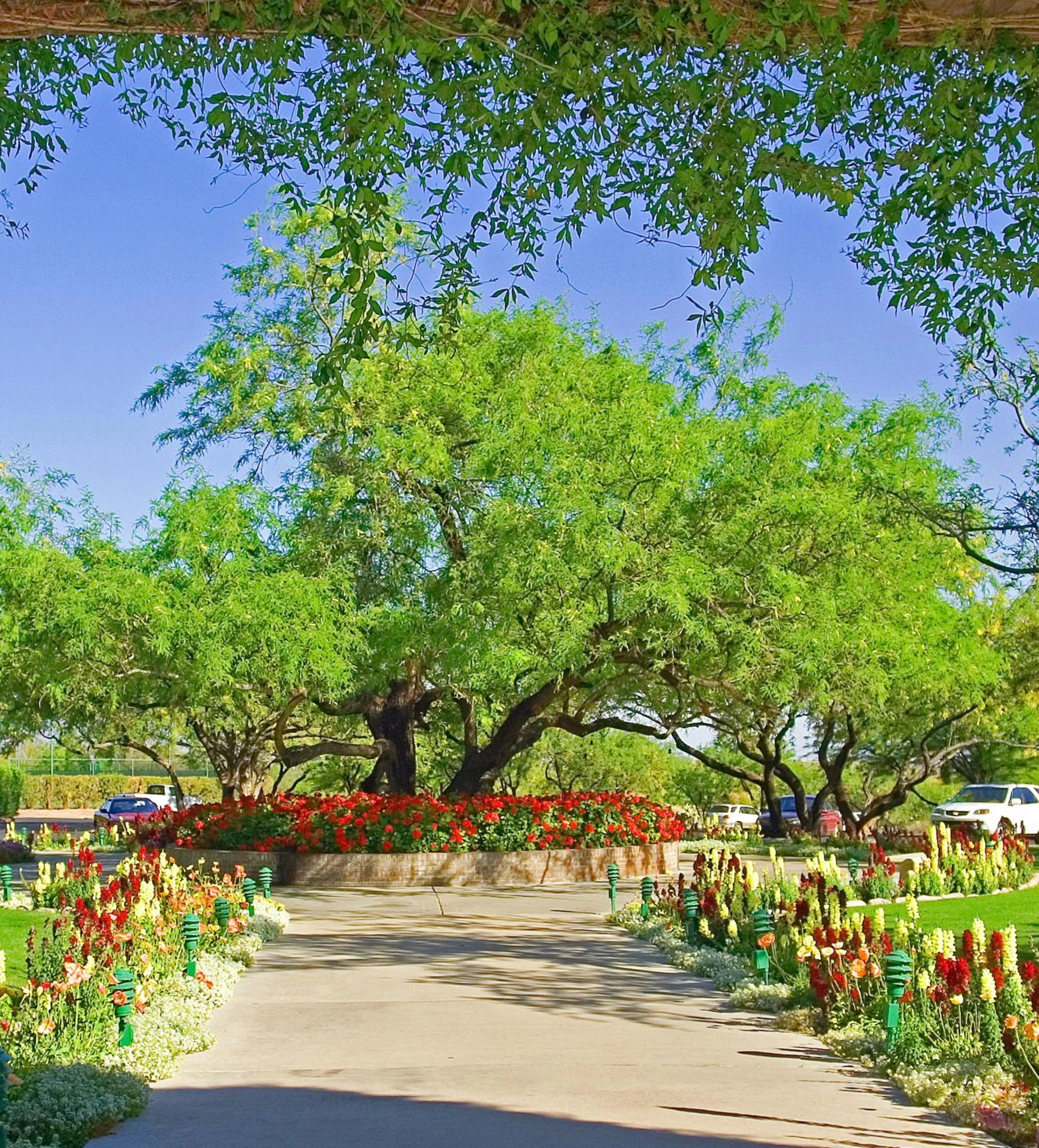 Garden in Ventana Canyon Club and Lodge