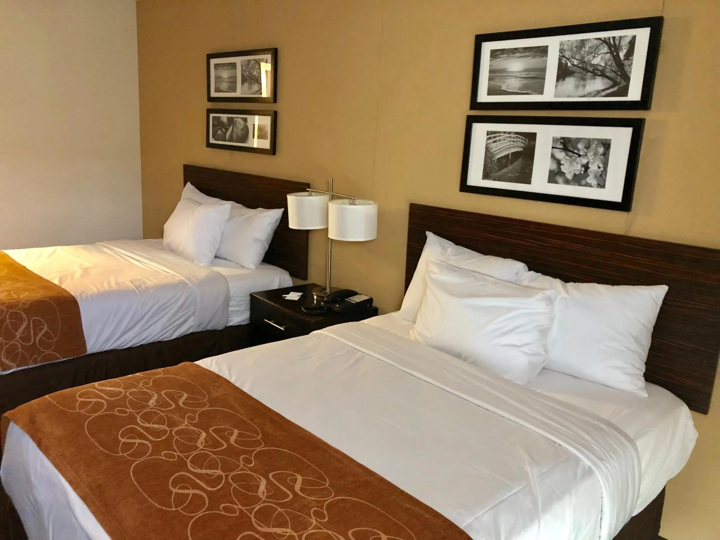 Bed in The Vue Inn Brooklyn