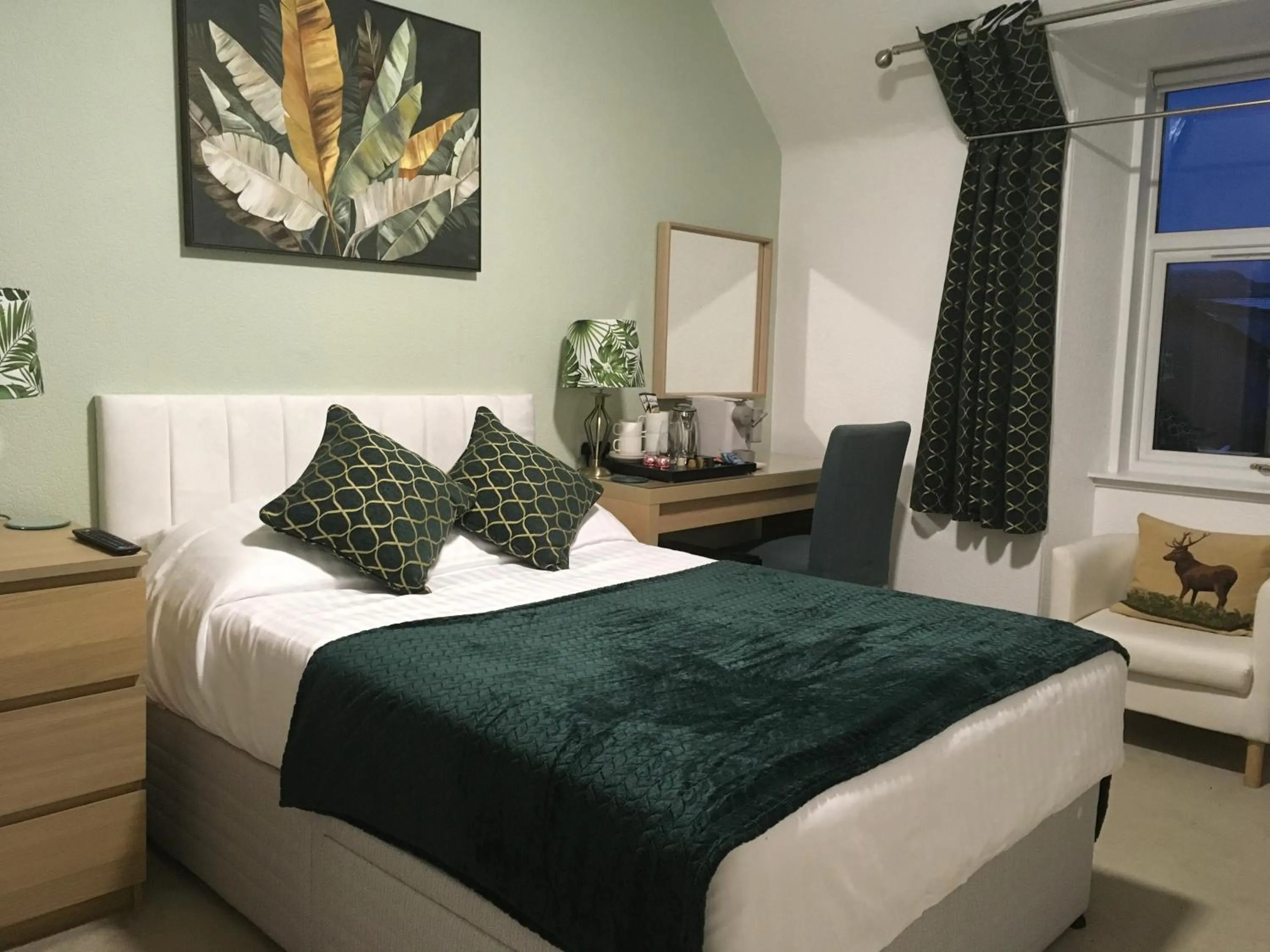 Deluxe Double Room - single occupancy in Clune House B&B