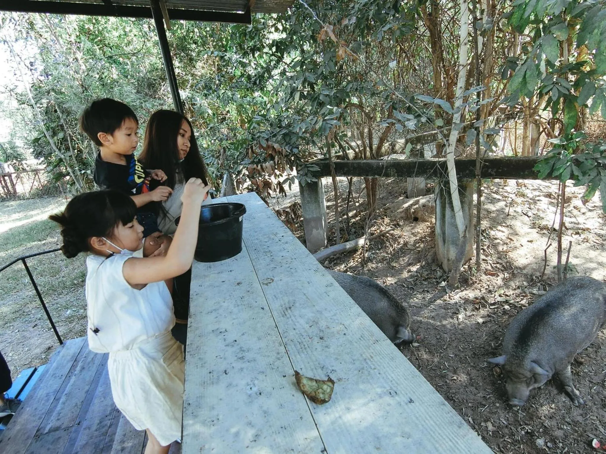 Sappraiwan Elephant Resort & Sanctuary