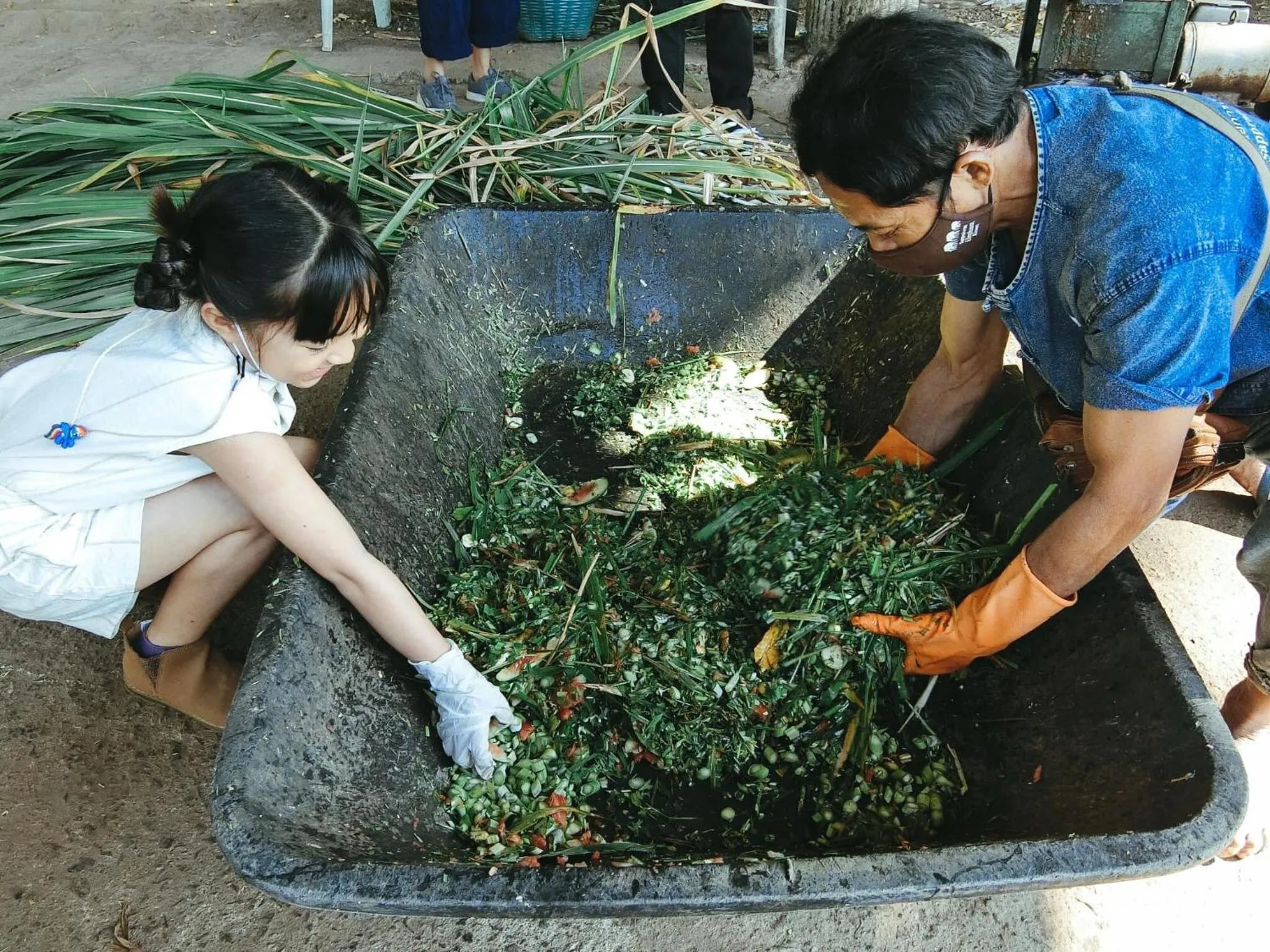 Sappraiwan Elephant Resort & Sanctuary