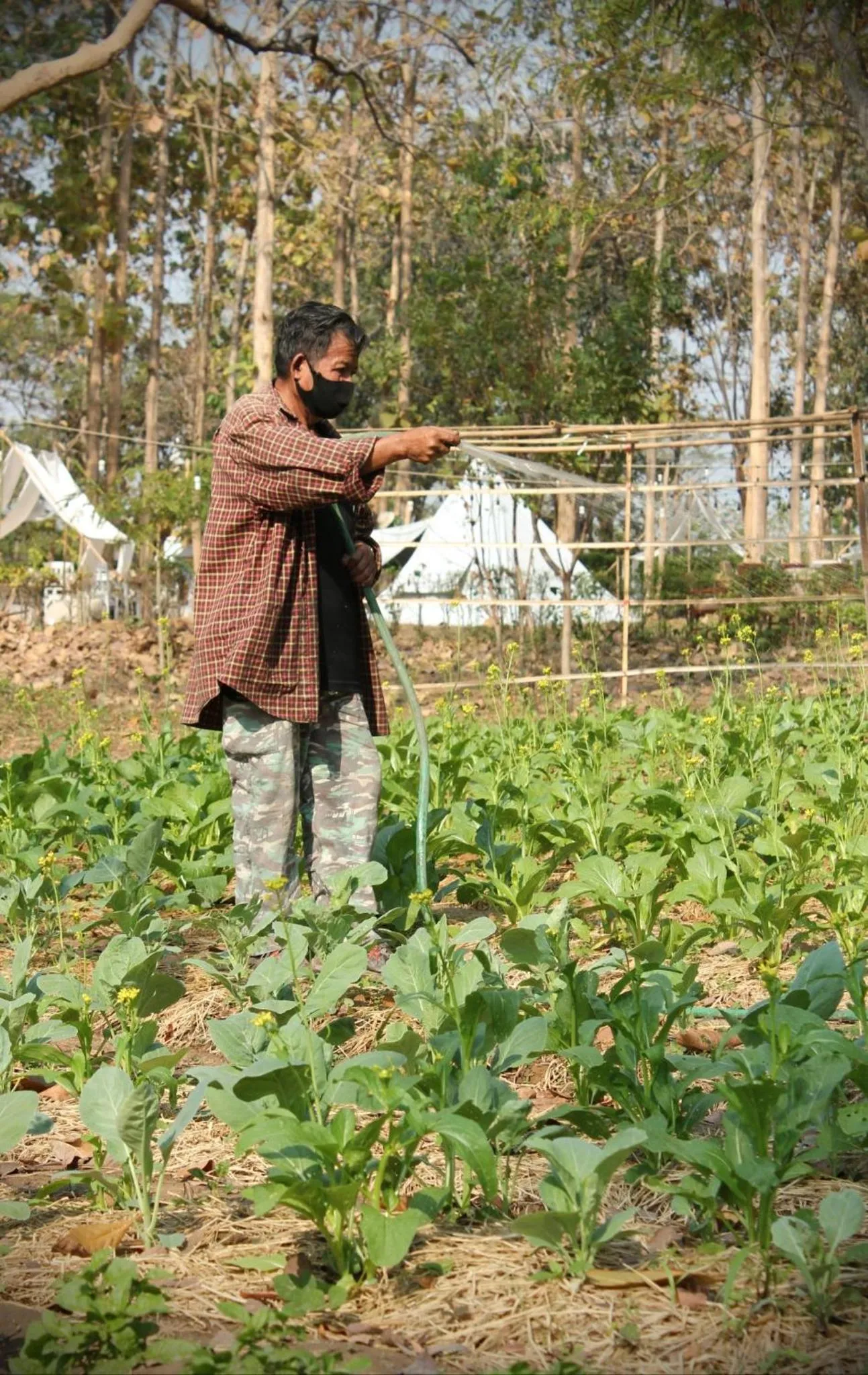 Sappraiwan Elephant Resort & Sanctuary