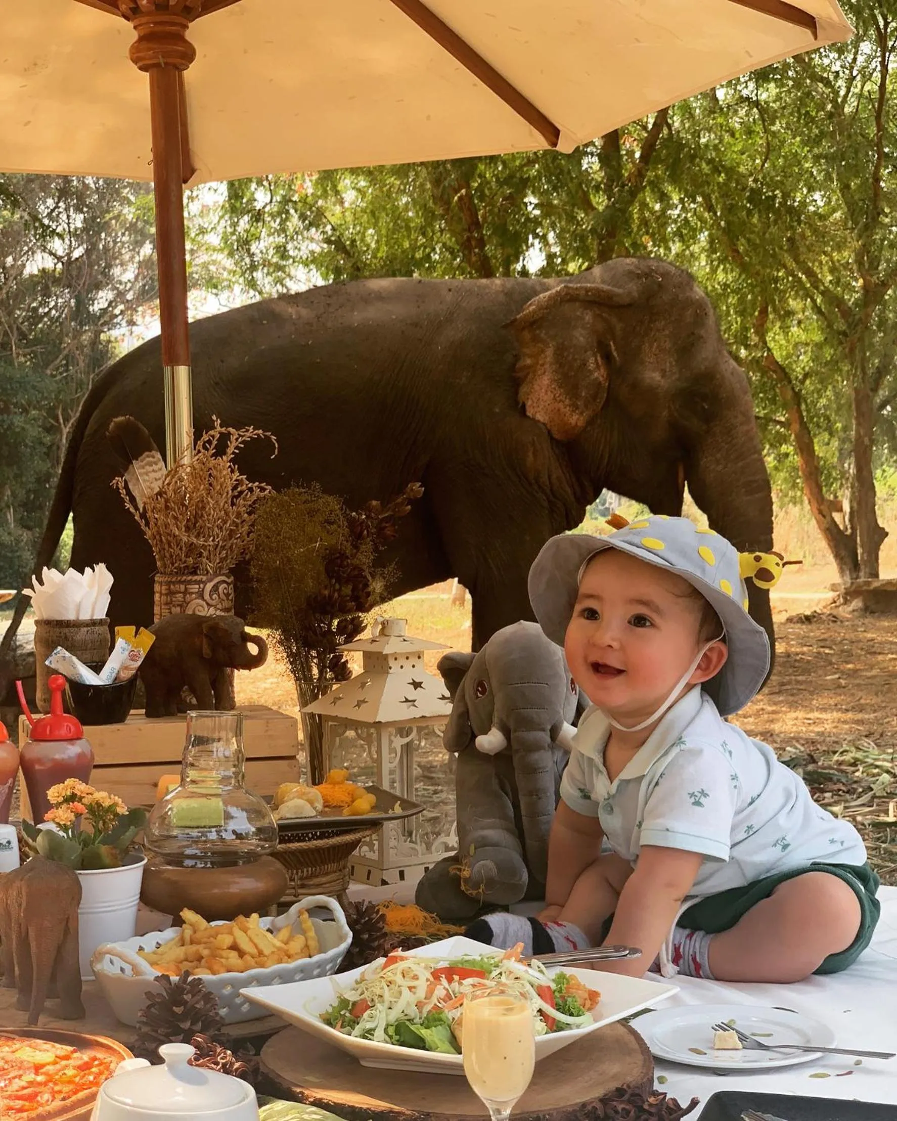 Sappraiwan Elephant Resort & Sanctuary