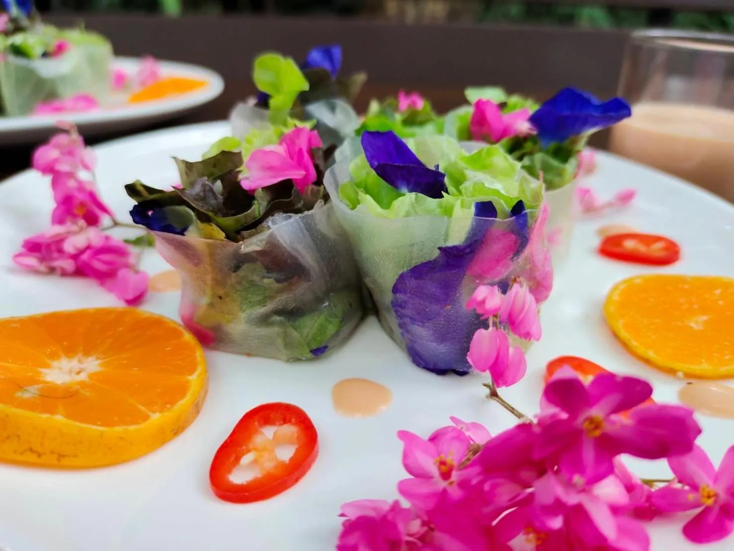 Sappraiwan Elephant Resort & Sanctuary