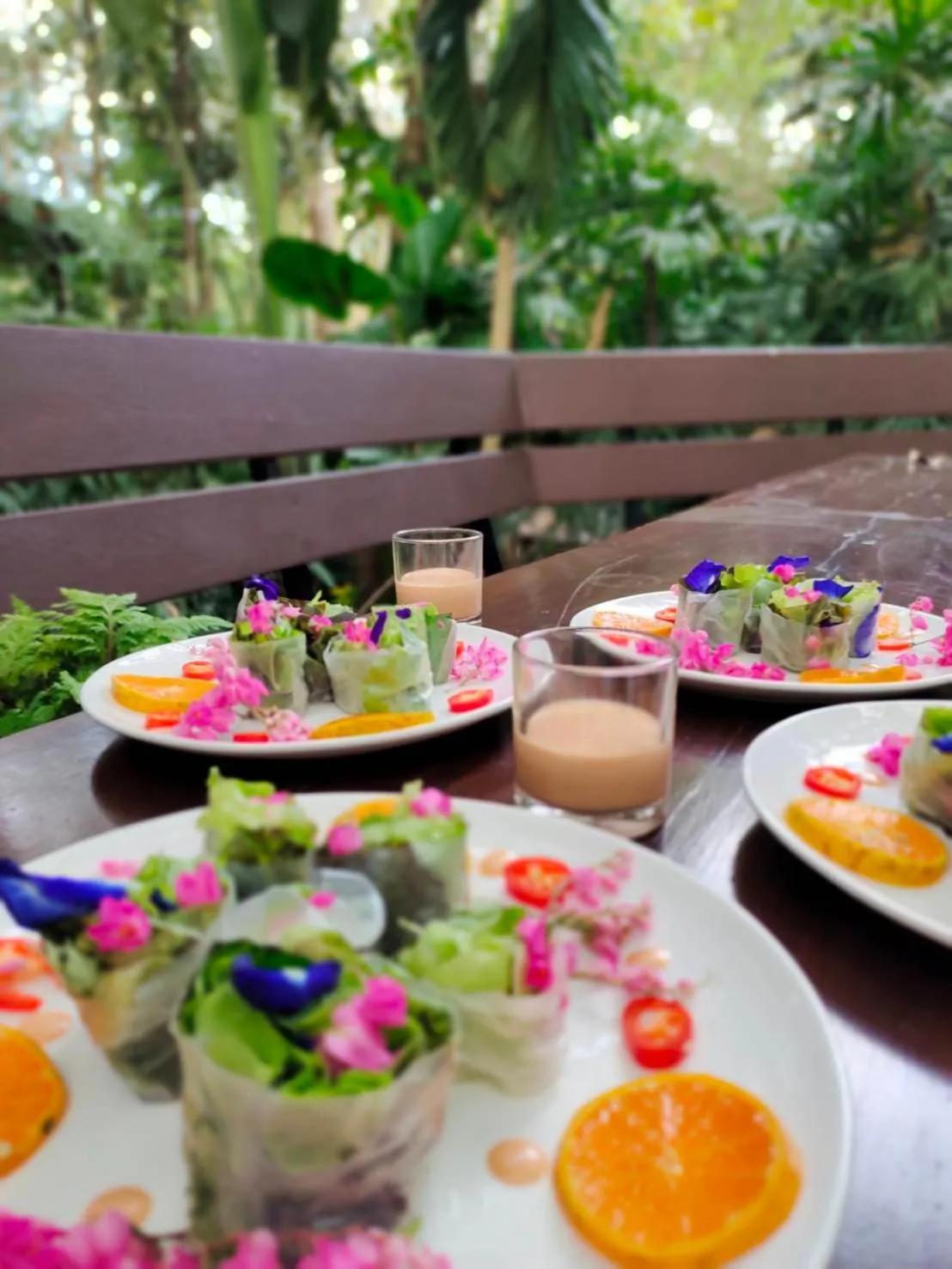 Sappraiwan Elephant Resort & Sanctuary