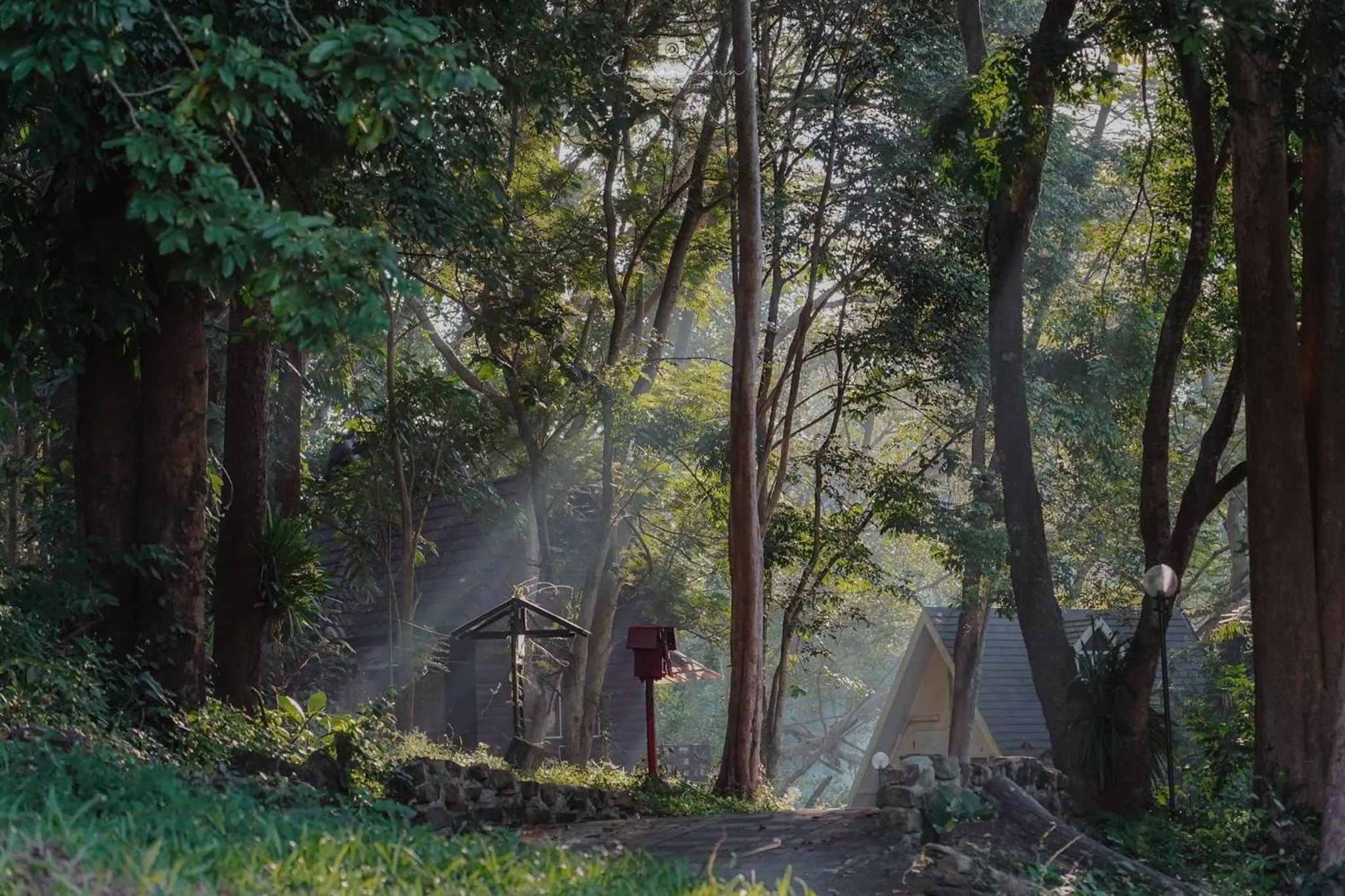 Sappraiwan Elephant Resort & Sanctuary