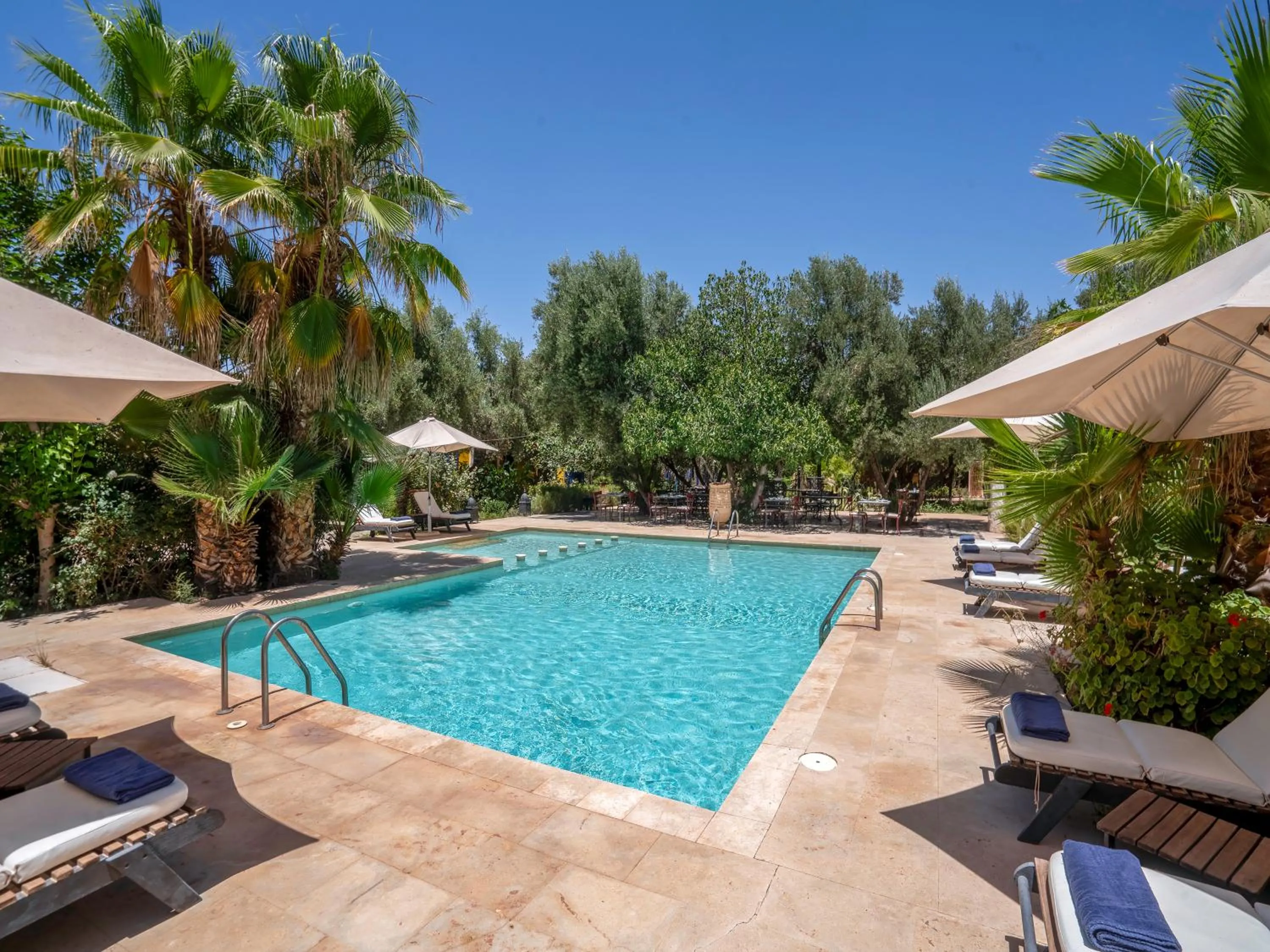 Swimming pool in Clé De Sol Riad & SPA