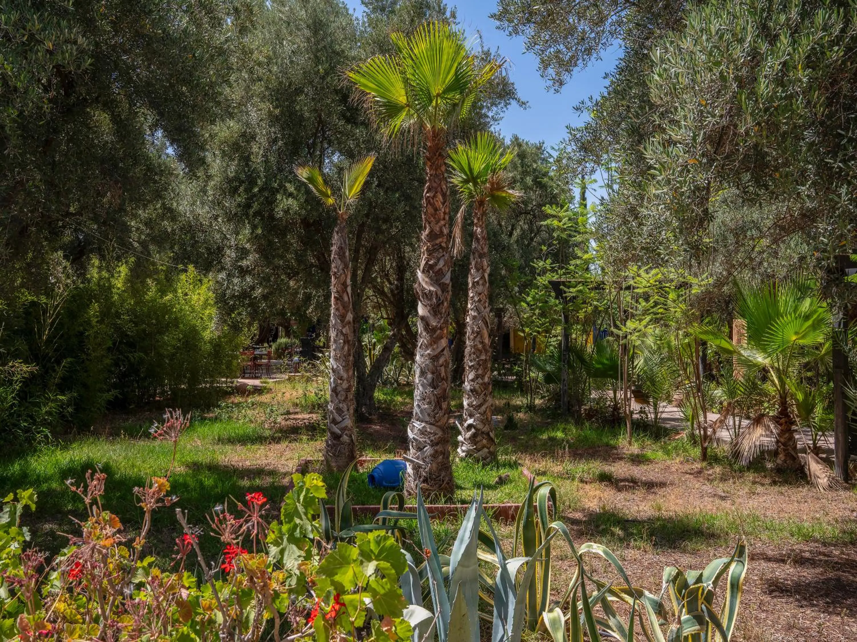 Natural landscape in Clé De Sol Riad & SPA