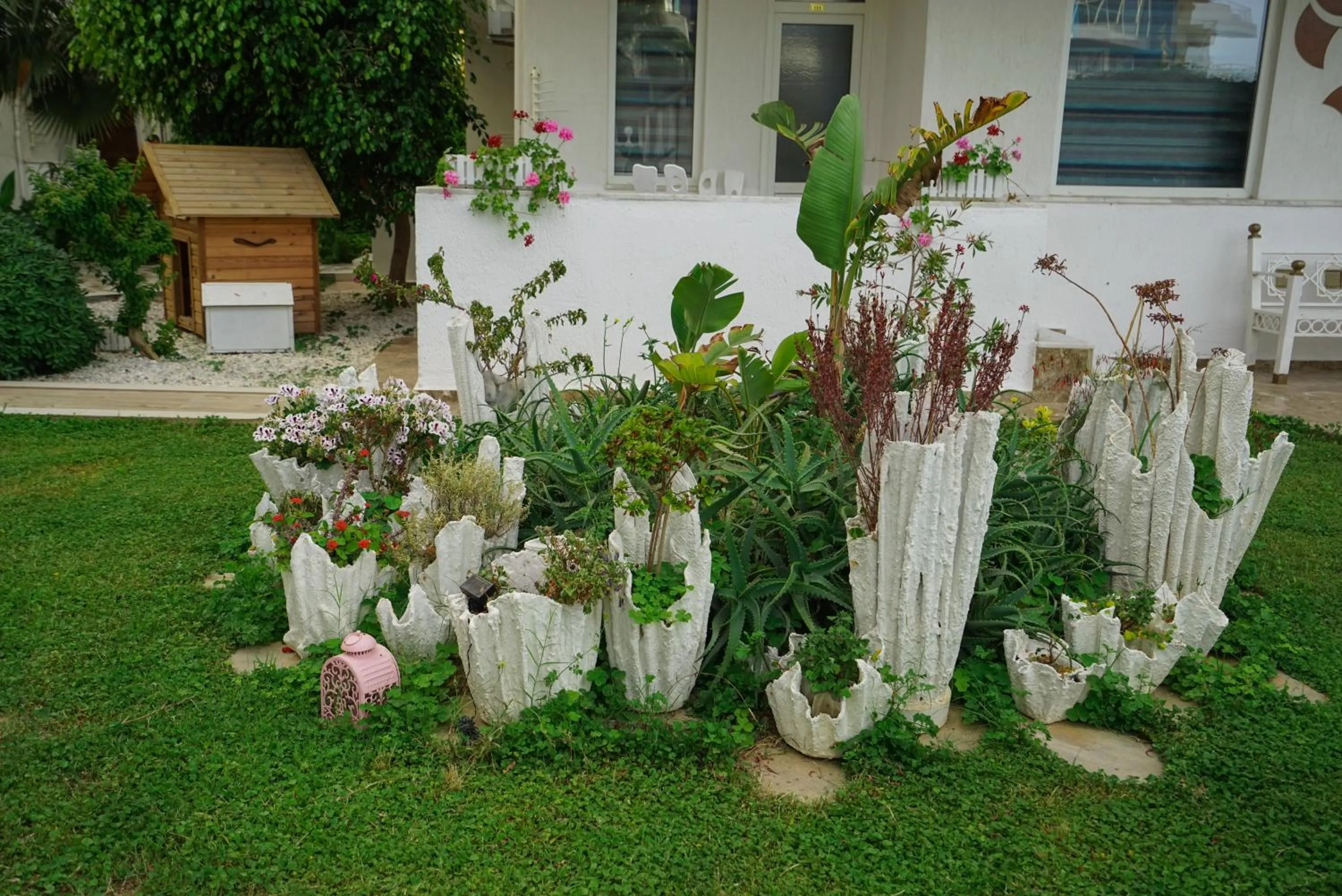 Garden in Bora Bora Butik Hotel