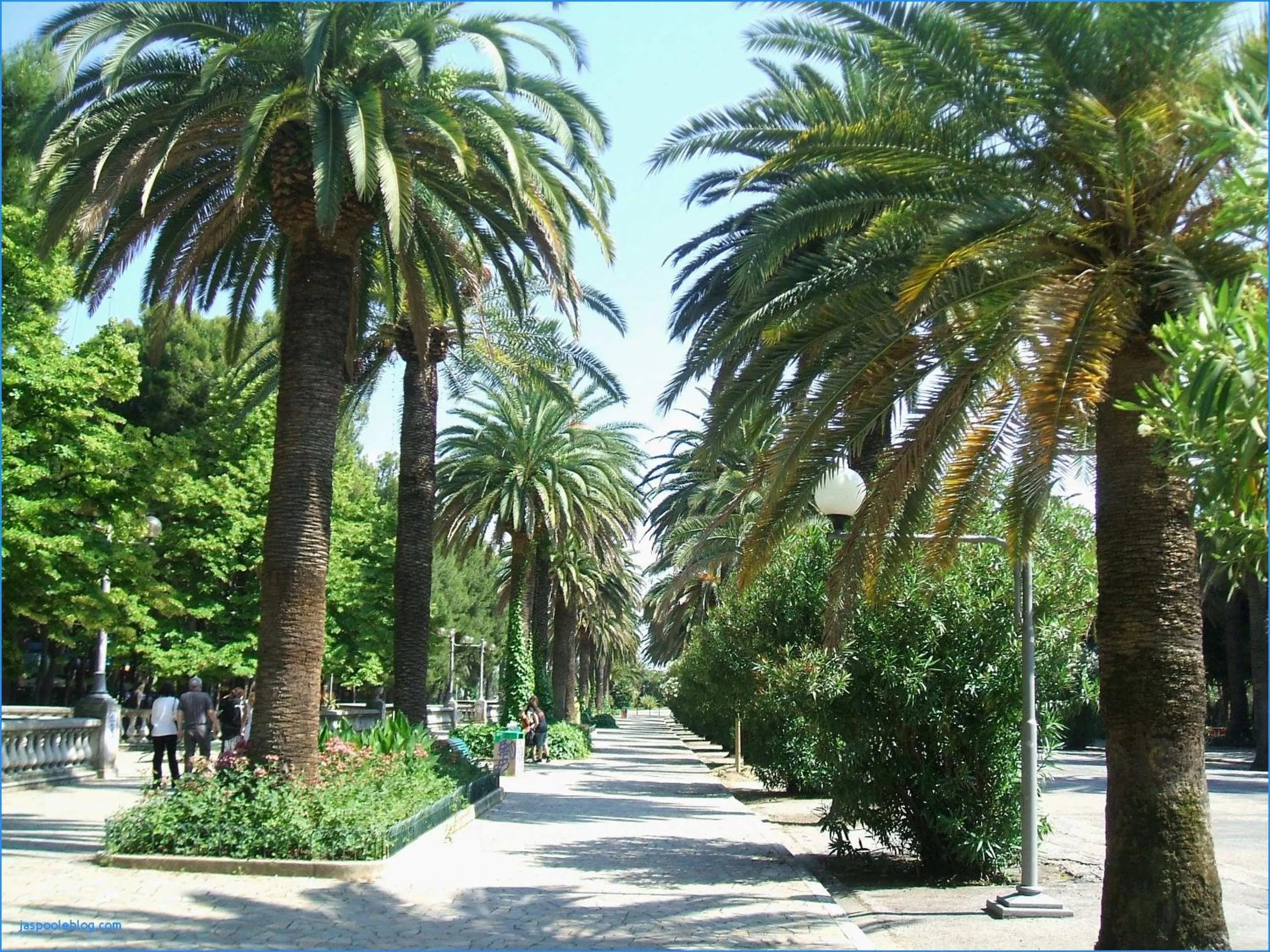 Natural landscape in Hotel Royal