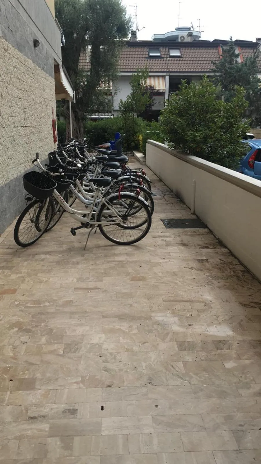 Activities in Hotel Royal