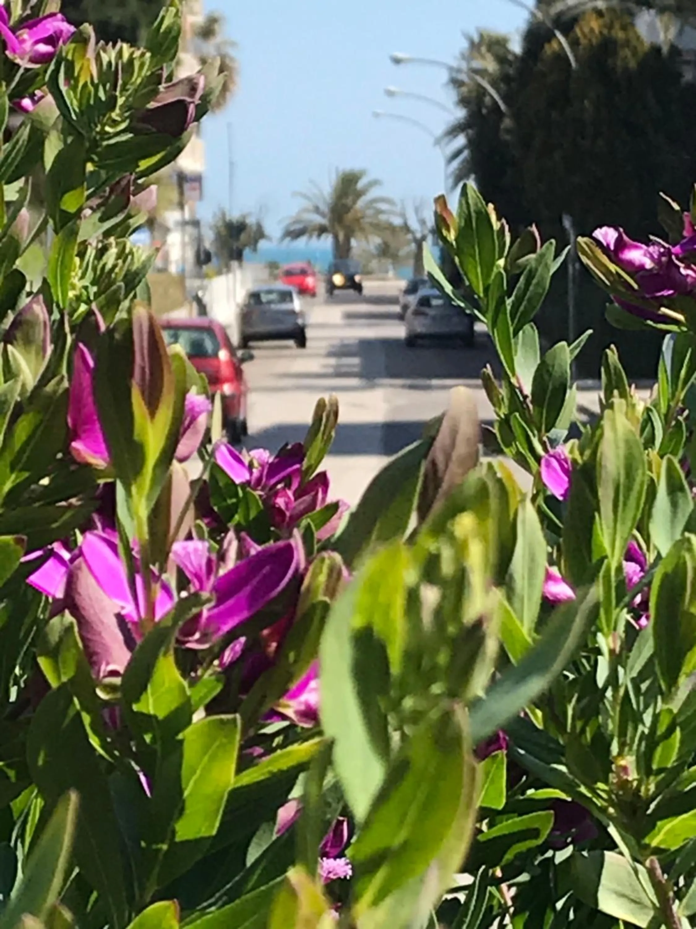 Property building in Hotel Royal