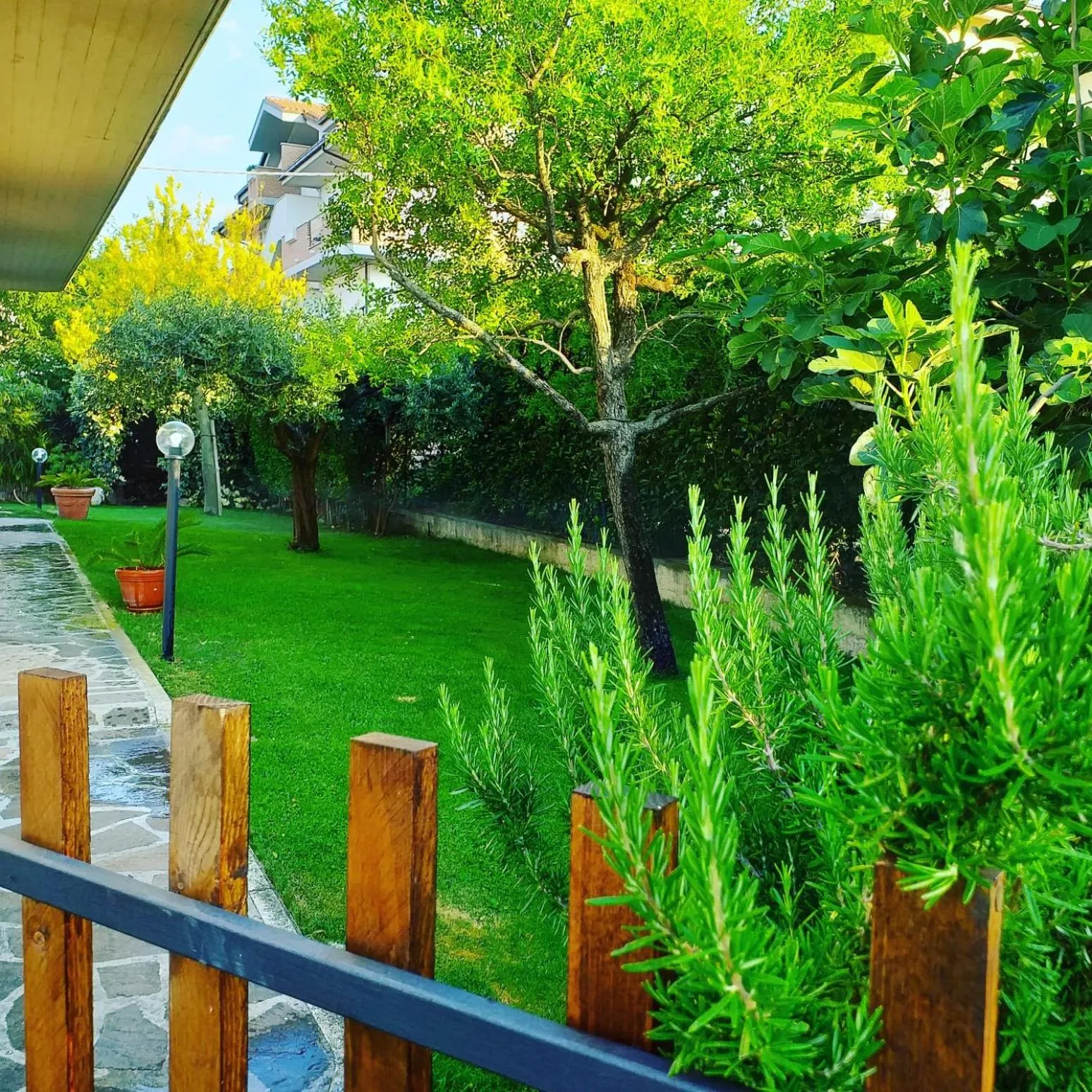 La Bouganville di Sante e Rosa