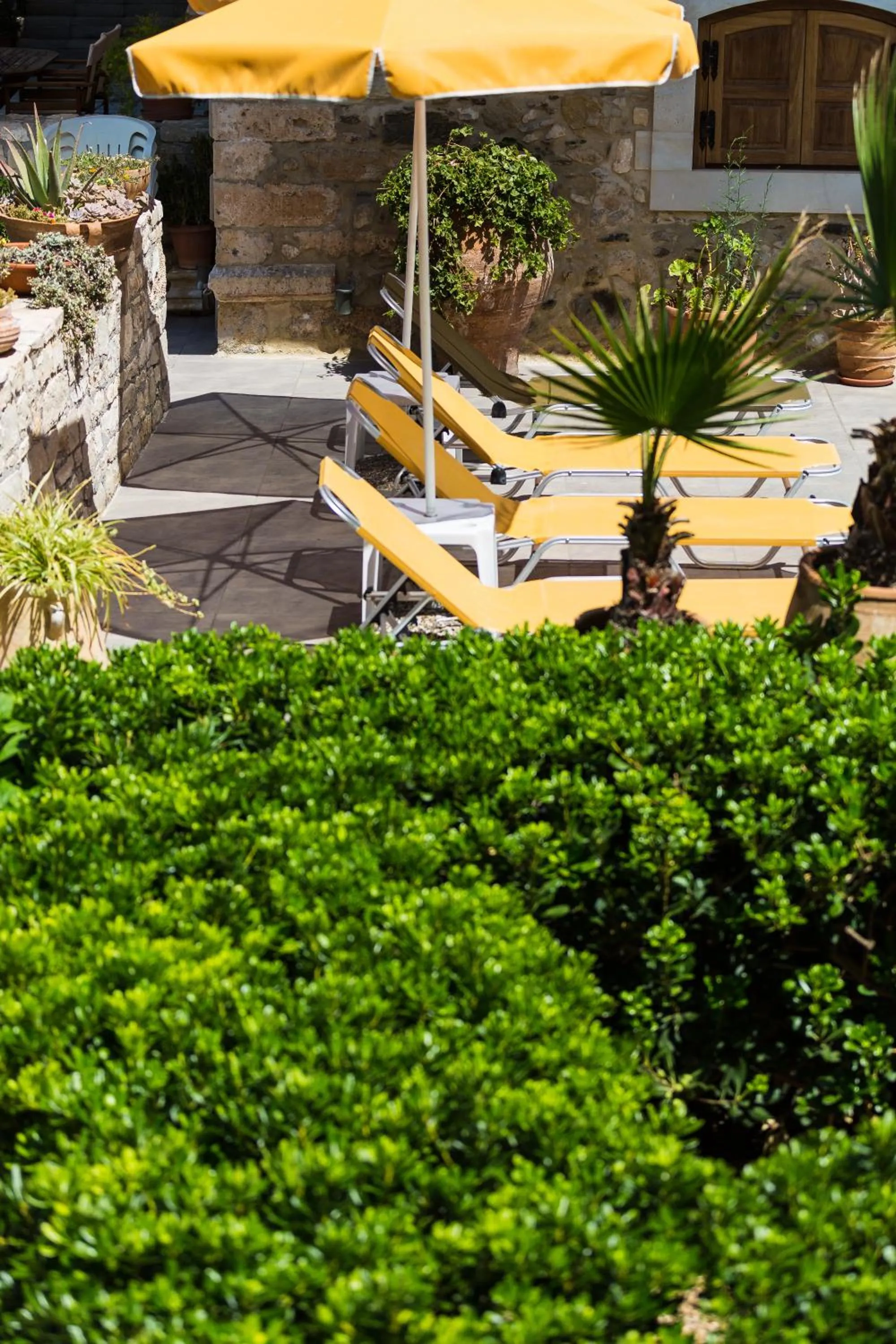 Garden in Philoxenia Apartments