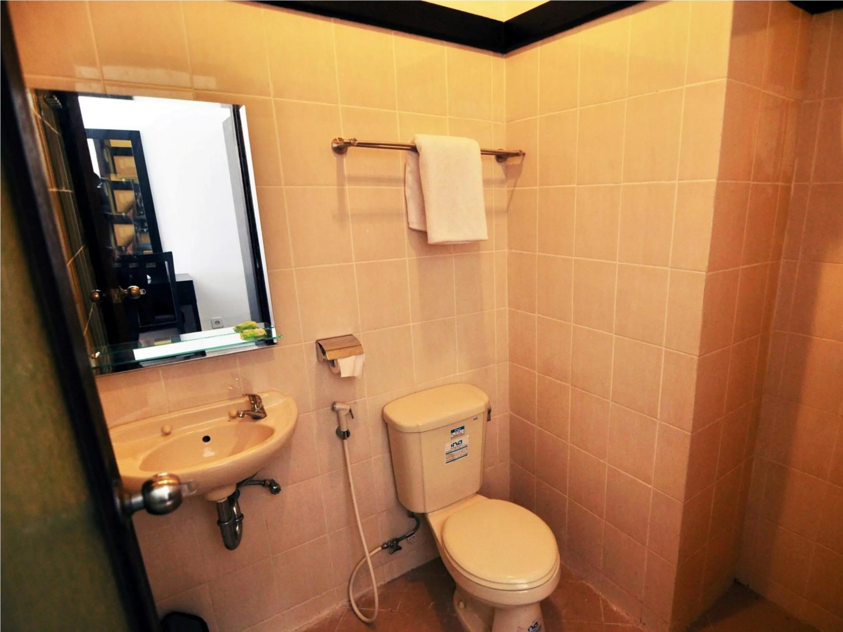 Shower in Jesens Inn II