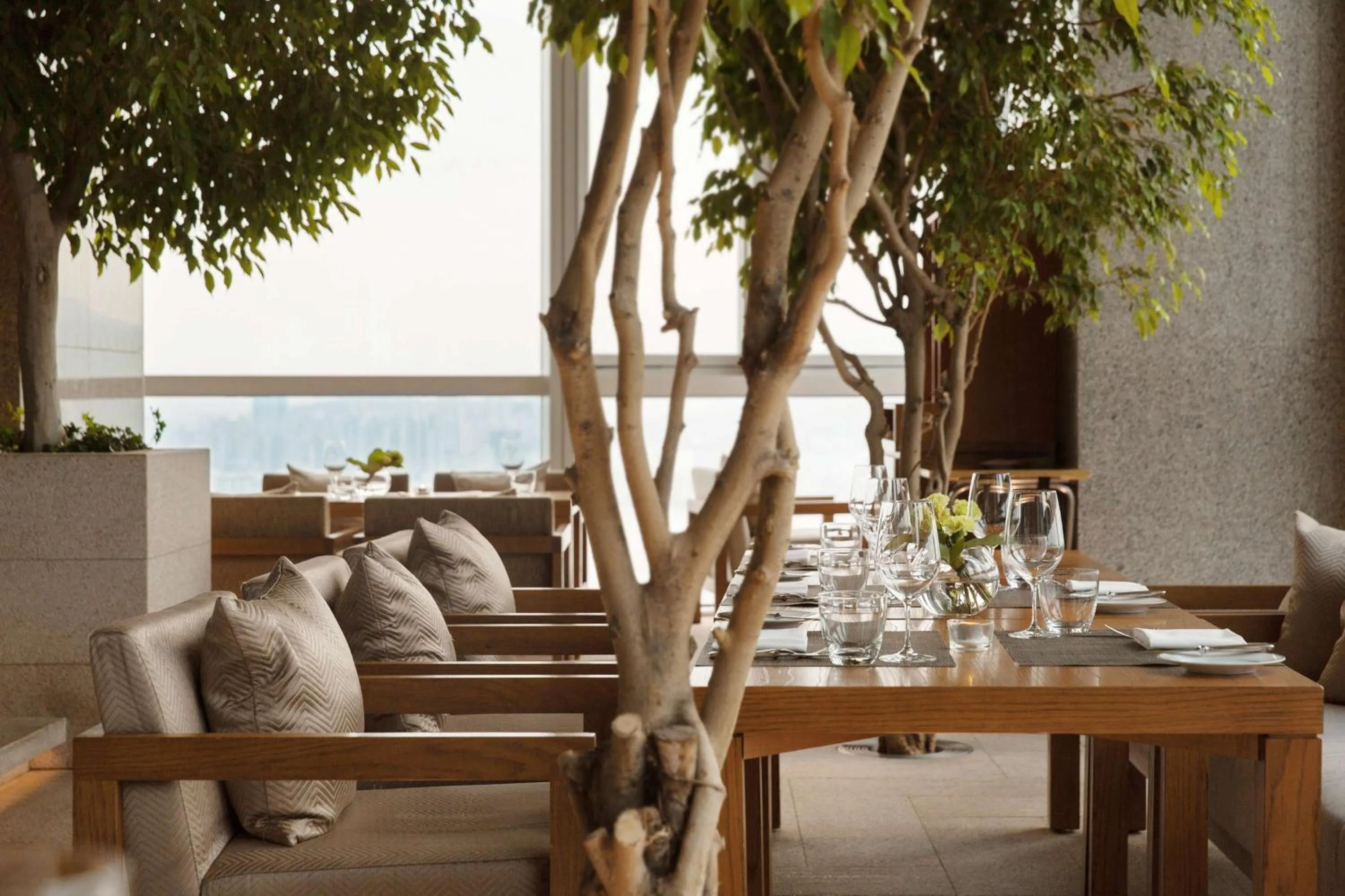 Restaurant/places to eat in Park Hyatt Busan