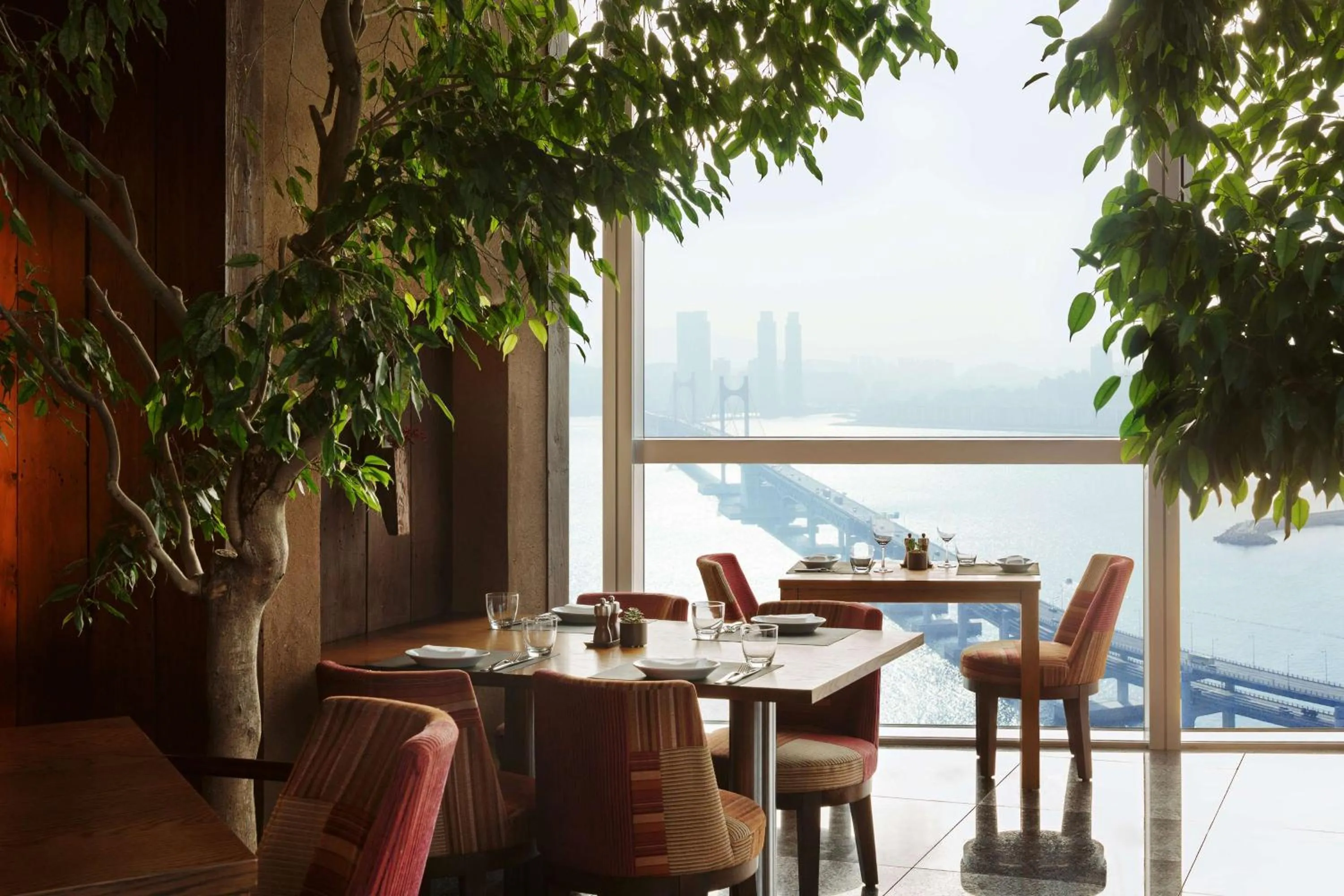 Restaurant/places to eat in Park Hyatt Busan